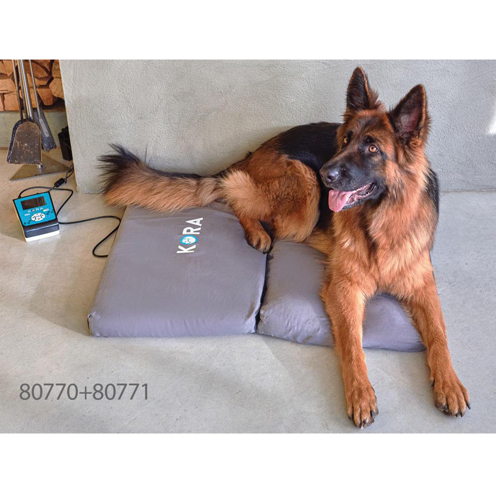 MAGNETOTERAPIA VETERINARIA KORA - KIT BASE