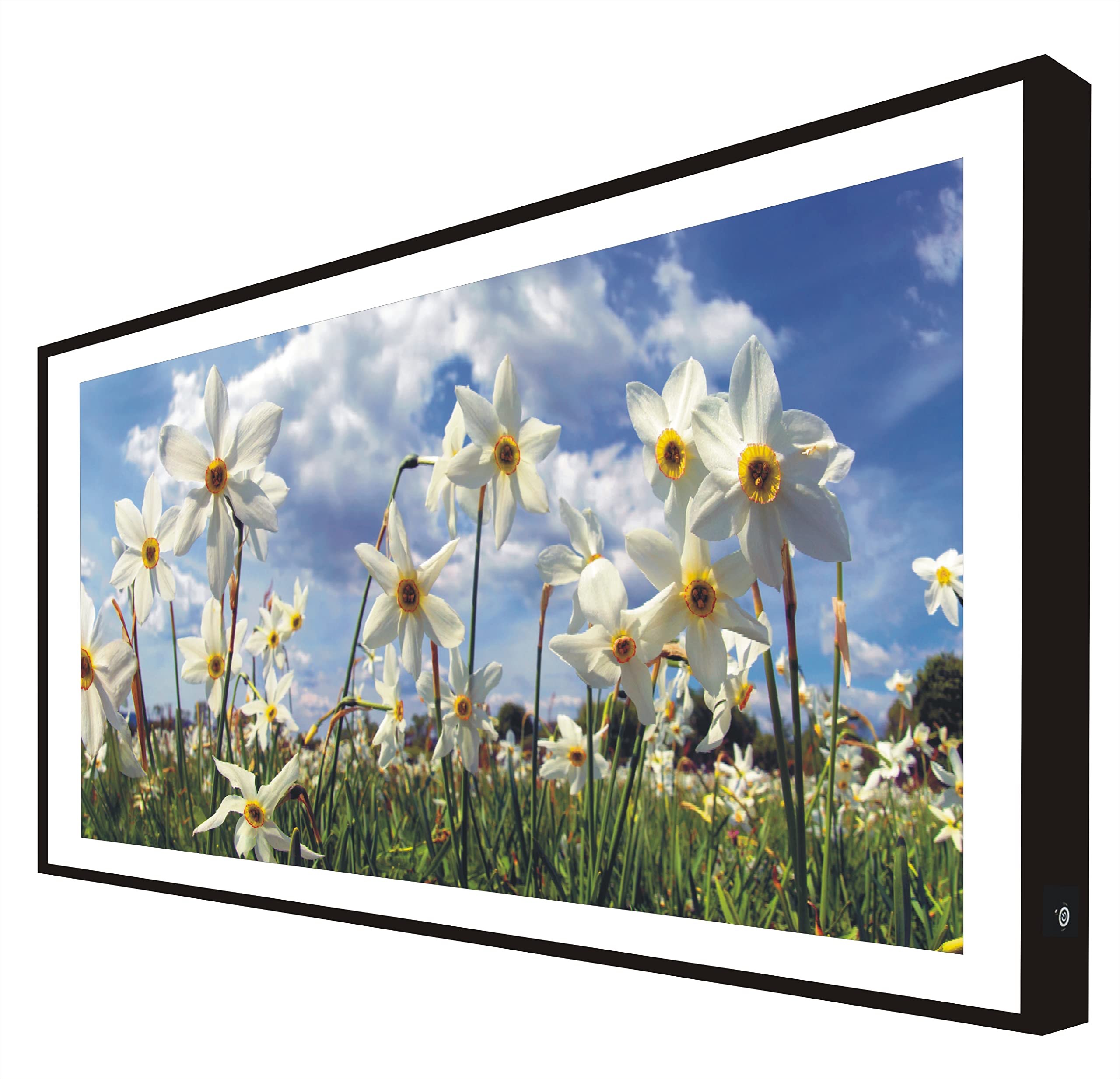 Cuadro con Marco Madera Lacada en Negro Iluminado con Luz Leds Flores: Campo de Tulipas