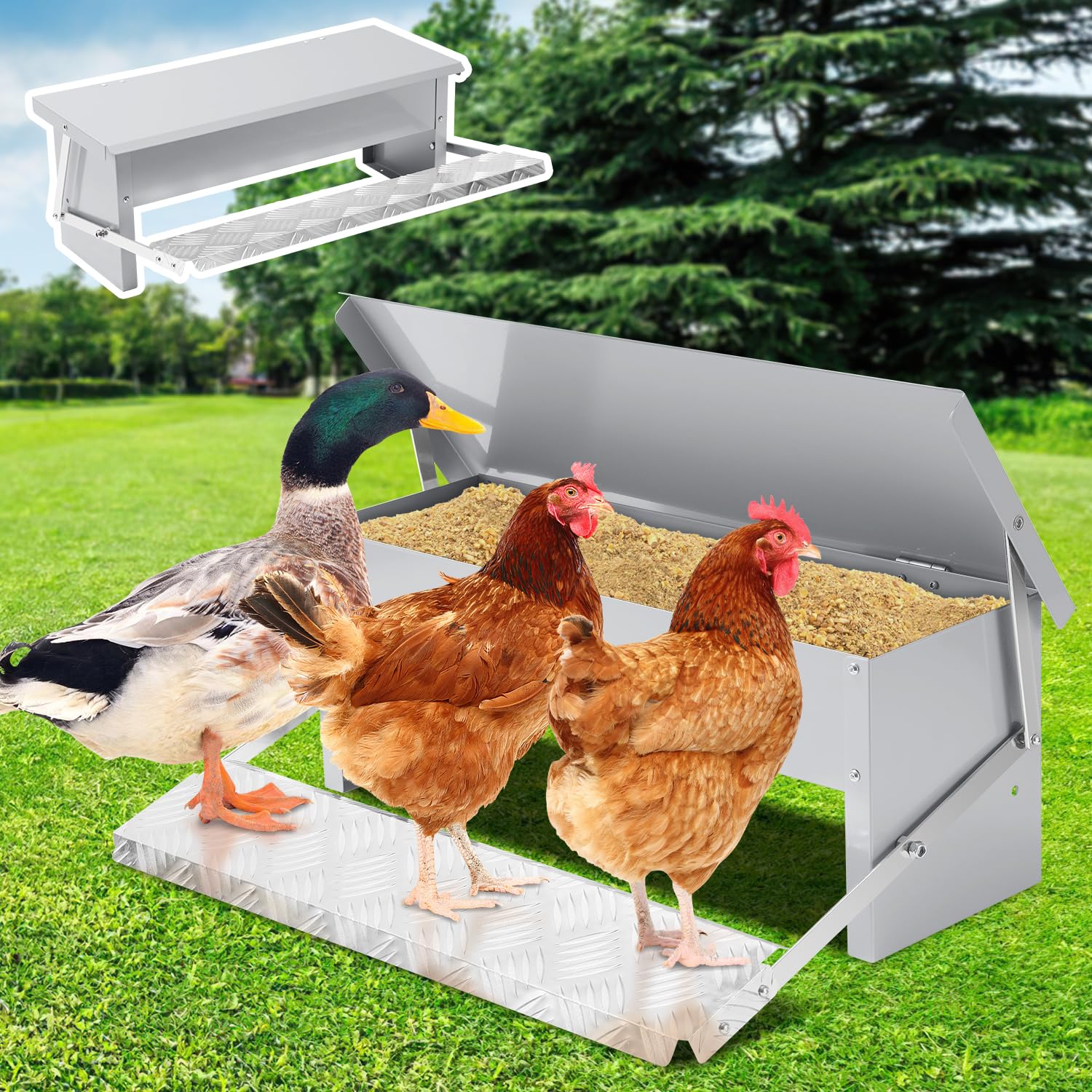 Mangiatoia Automatica Per Polli Da 5kg - Antiratto, Zincata E Impermeabile - Foto 7