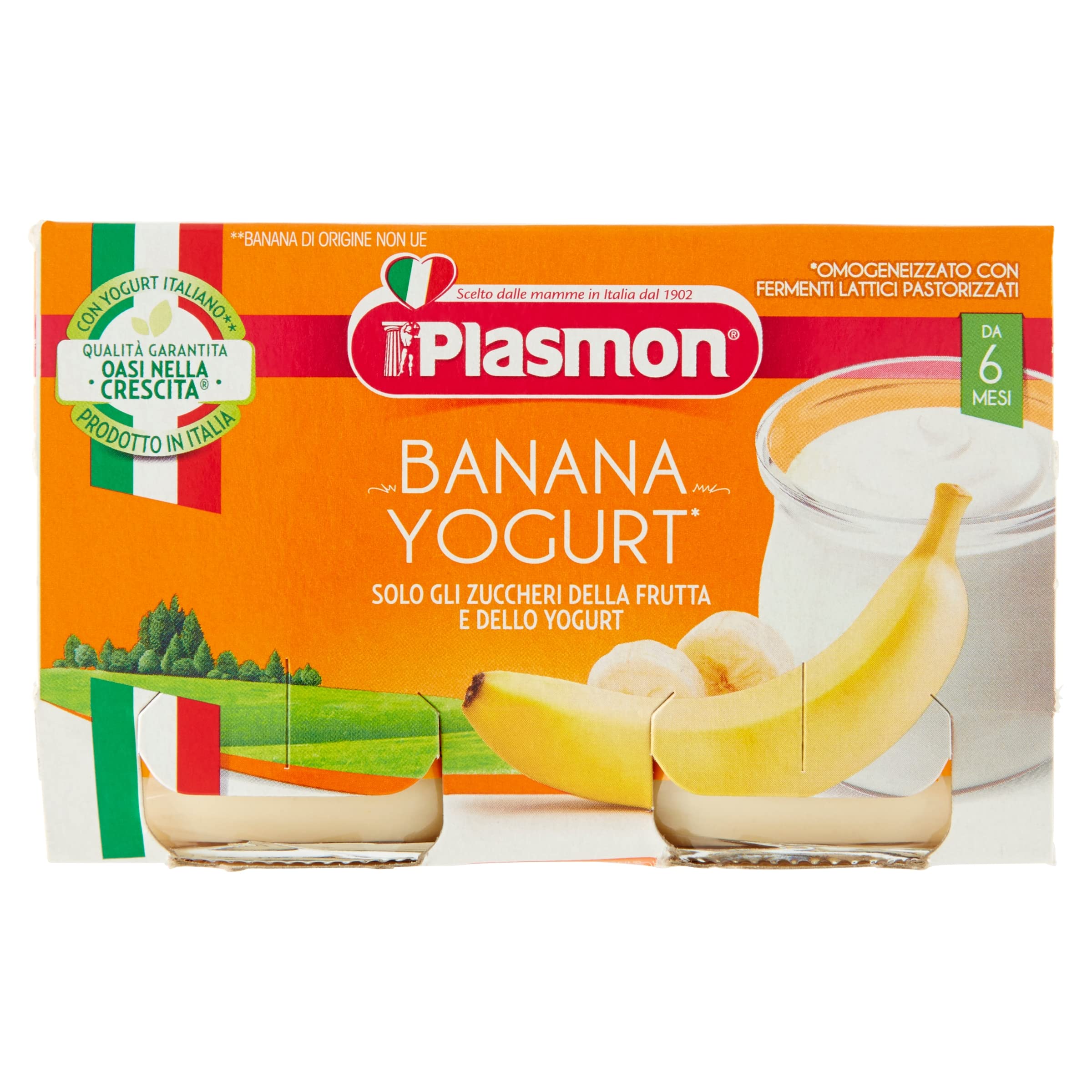 Plasmon Omogeneizzato Banana e Yogurt 2x120g (12 Confezioni)