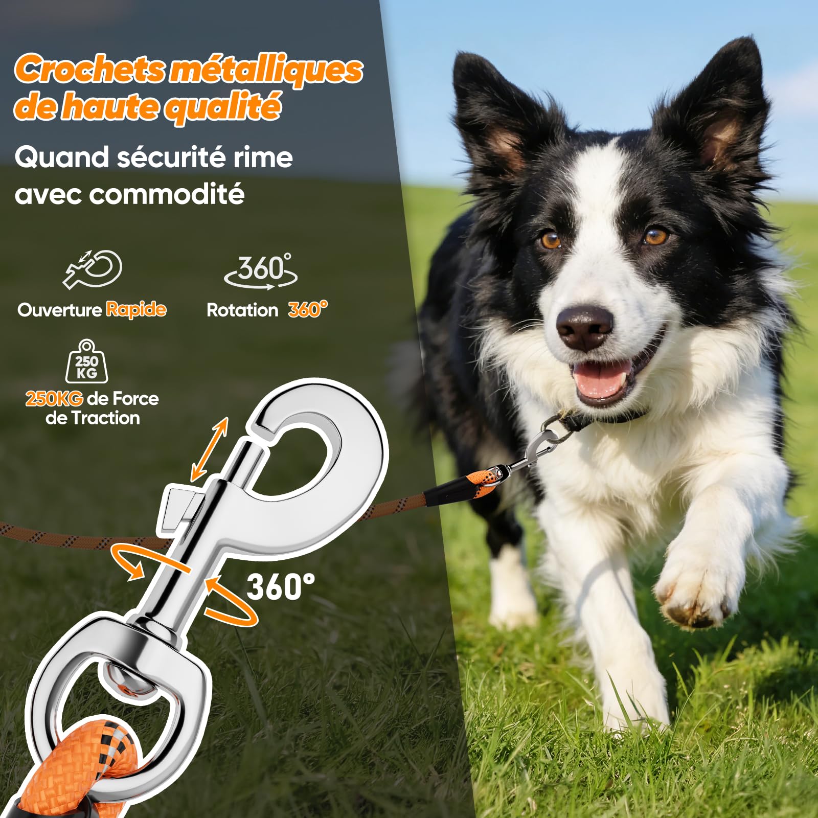 Aystkniet Longe pour Chien, 5M 10M 15M 20M 30M Laisse de Dressage avac Crochets Pivotants aux Deux Extrémités, Longue Laisse Corde d'attache pour Petits, Moyens, Grands Chiens (Orange, 5M * 8MM)