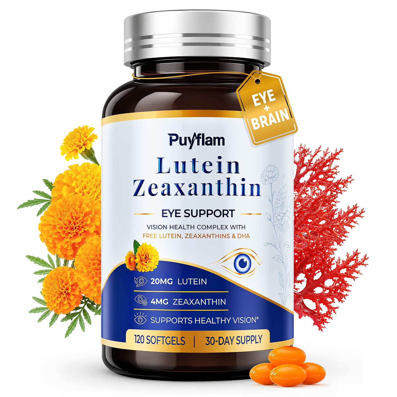 Lutein and Zeaxanthin Supplements, Daily Eye Health Support, 120 Softgels 120 Count (Pack of 1)