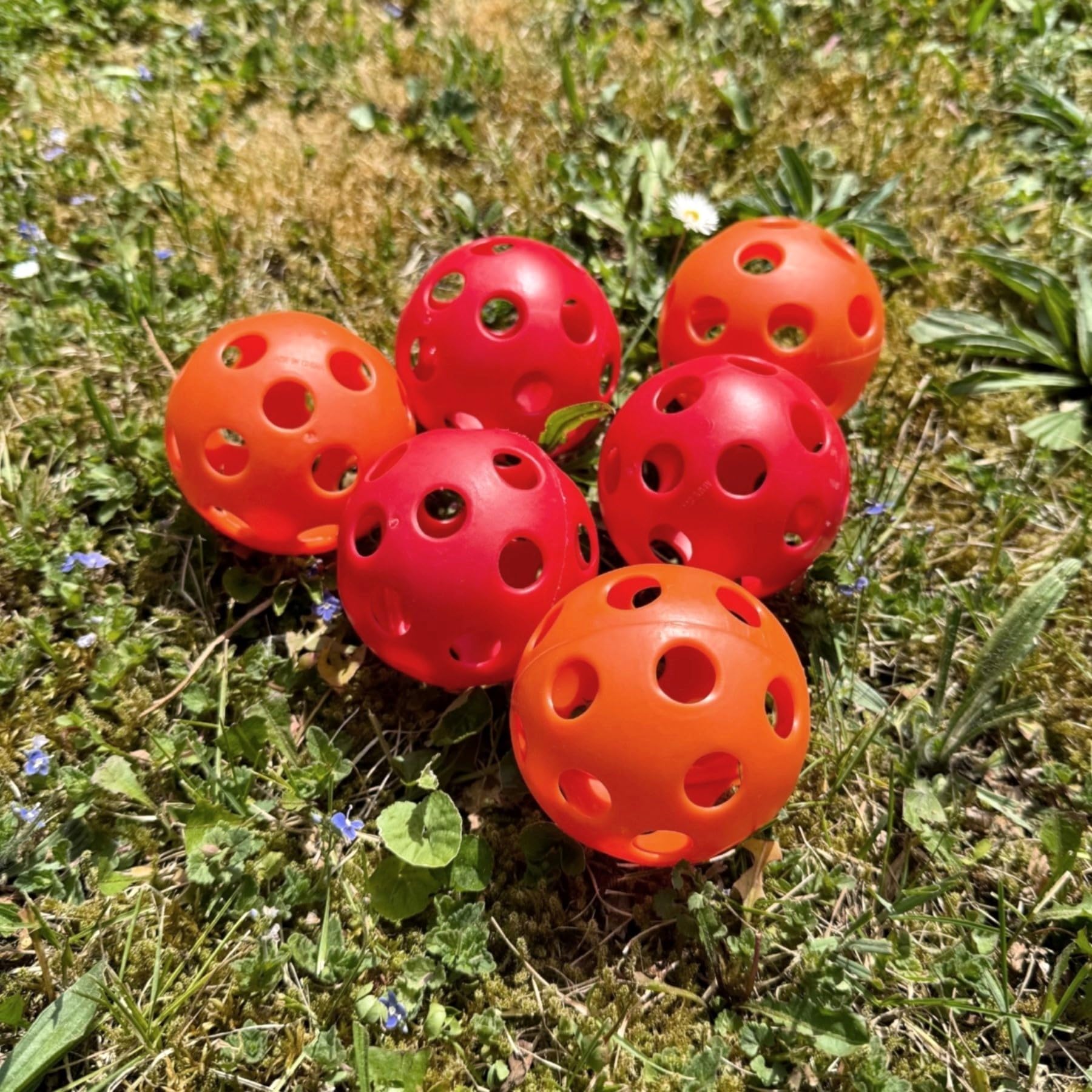 Bolimo Juego de Lanzamiento para Niños y Adultos – Juego de Pelota Indoor y Outdoor con Diana – para Jardín, Parque, Camping y Fiesta