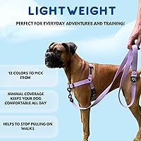 Vista 5 de ShawnCo Dream Walk - Arnés para perro sin tirones, ajustable, cómodo, fácil de usar, para ayudar a dejar de tirar, para perros pequeños, medianos