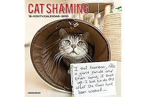 2020 Cat Shaming Monthly Wall Calendar (12 x 12 Inches) from Willow Creek Press