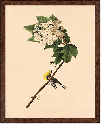 Miniatura 15 de Poster Master Póster de flores vintage, estampado botánico retro, arte floral antiguo, arte de plantas, regalo para hombres y mujeres, gran