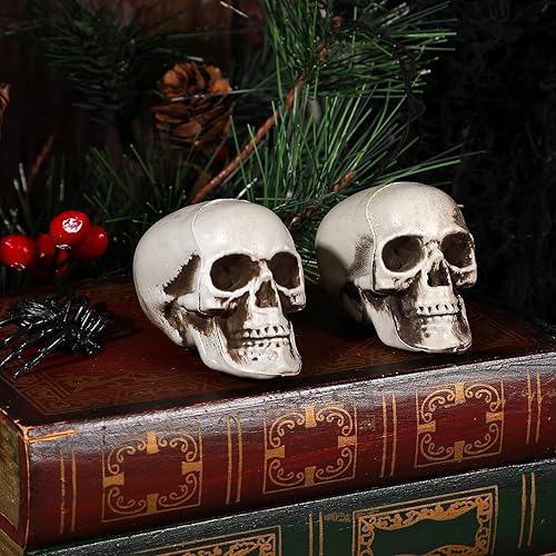 Miniatura 2 de NUOBESTY 18 piezas de mini cráneo modelo de calavera de plástico, decoraciones de esqueleto, decoración de hueso, accesorios de broma, cabezas de