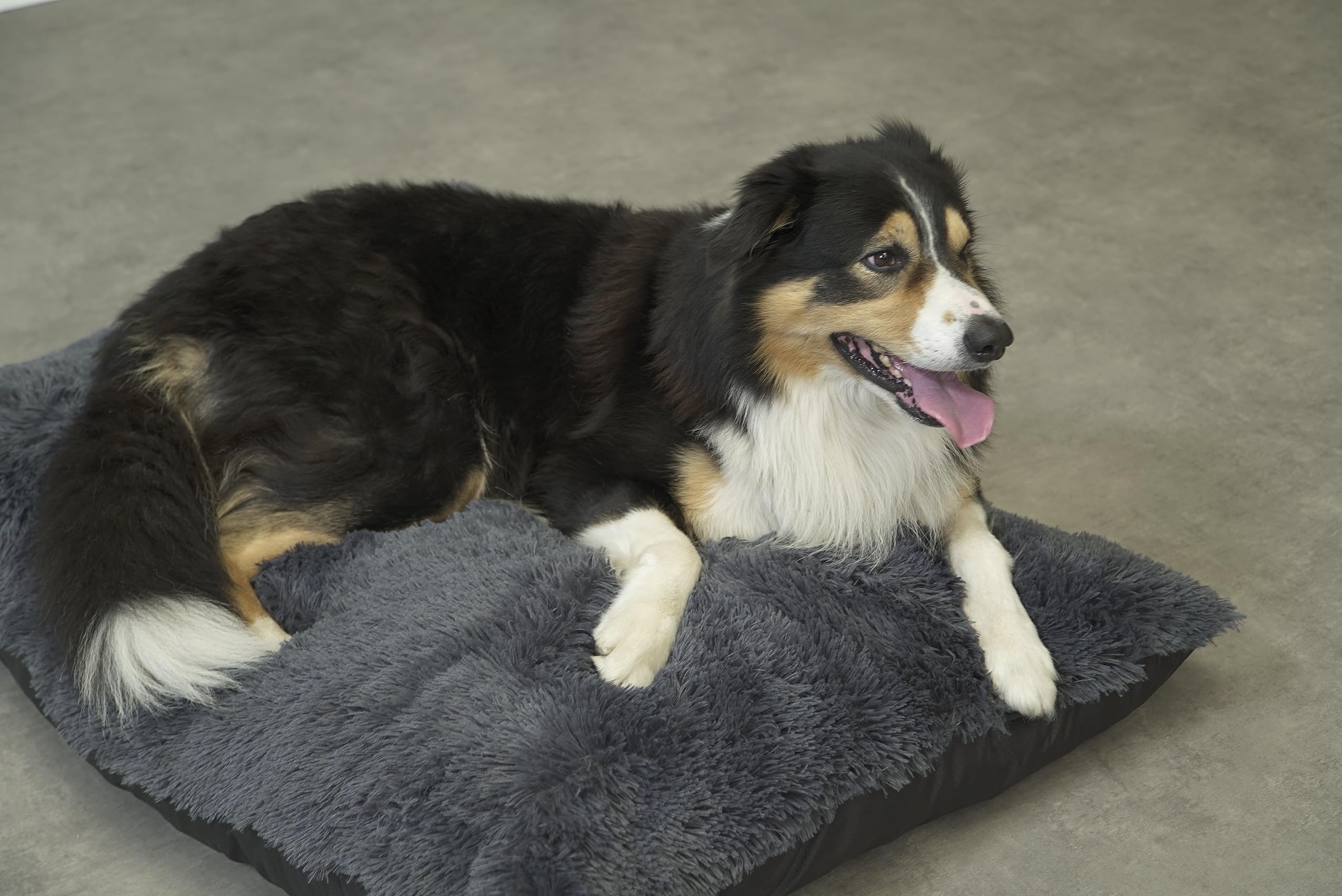 bananair - Coussin Chien Doux & Confortable - Généreusement Rembourré, Housse Déhoussable & Lavable en Machine - Panier/Lit/Matelas Petit & Grand Chien, Variété de Tailles (70 x 90 cm, Gris Foncé)