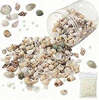 Vista 10 de JSPYFITS 12 conchas de vieira naturales grandes, de 4 a 5 pulgadas, carcasa grande para manualidades, pintura, horneado y decoración de boda