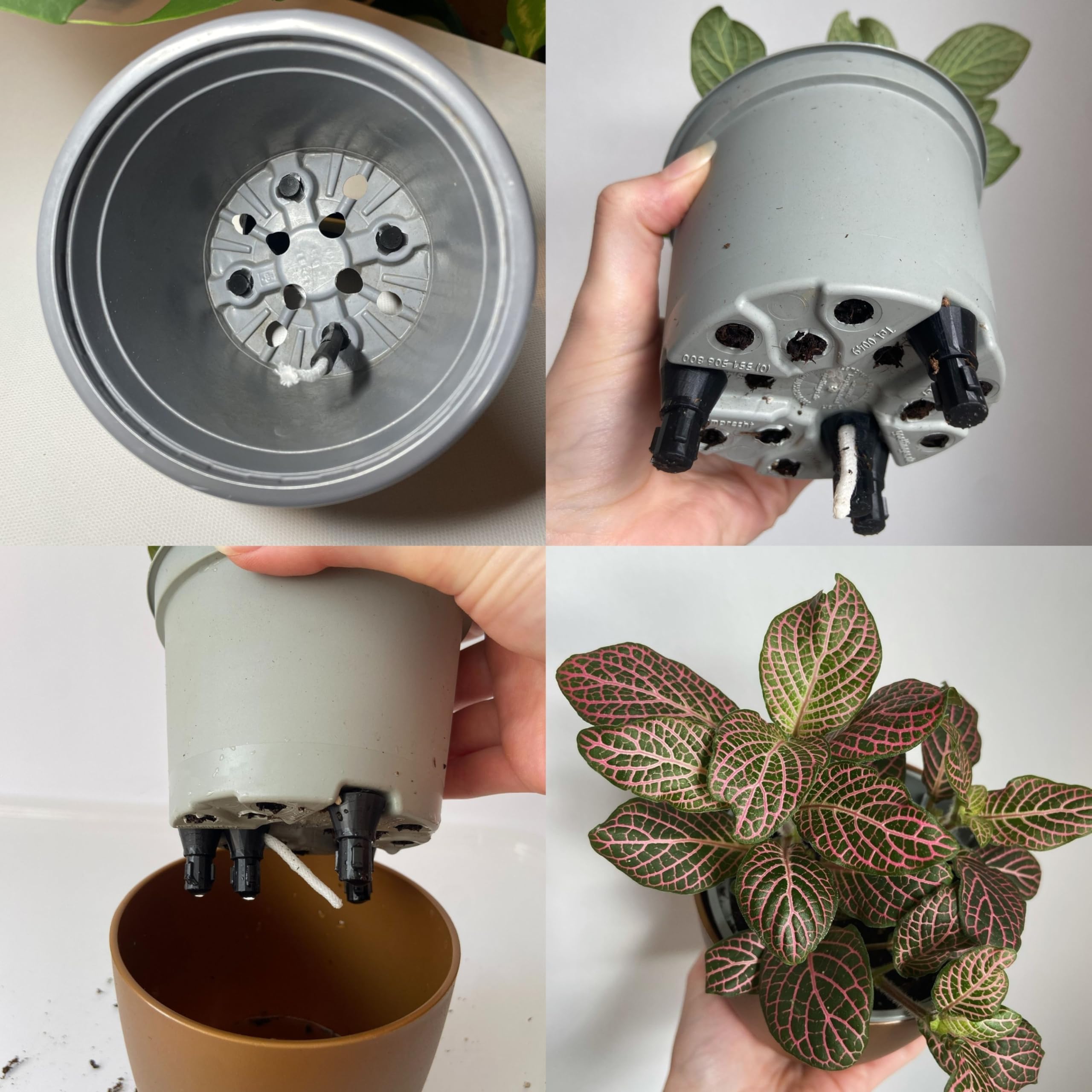 système d'irrigation plante d'intérieur avec mèche d'auto-arrosage arrosage automatique plante intérieur vacances système d'irrigation intérieur invisible arrosage par le bas pour plantes (10)