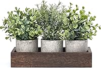 Dahey 3 Pack Mini Potted Artificial Eucalyptus Plants in Wood Tray - Farmhouse Table Centerpiece Greenery for Kitchen Office Dining Room Decor