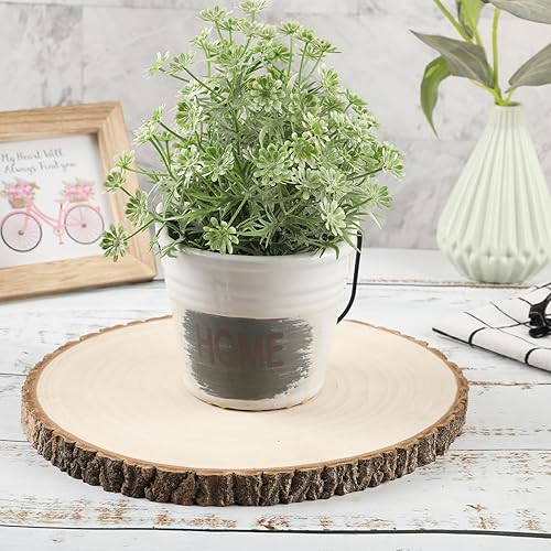 Miniatura 3 de 6 piezas de rebanadas de madera grandes para centros de mesa de 9 a 10 pulgadas, redondos de madera para decoración de mesas, círculos de madera