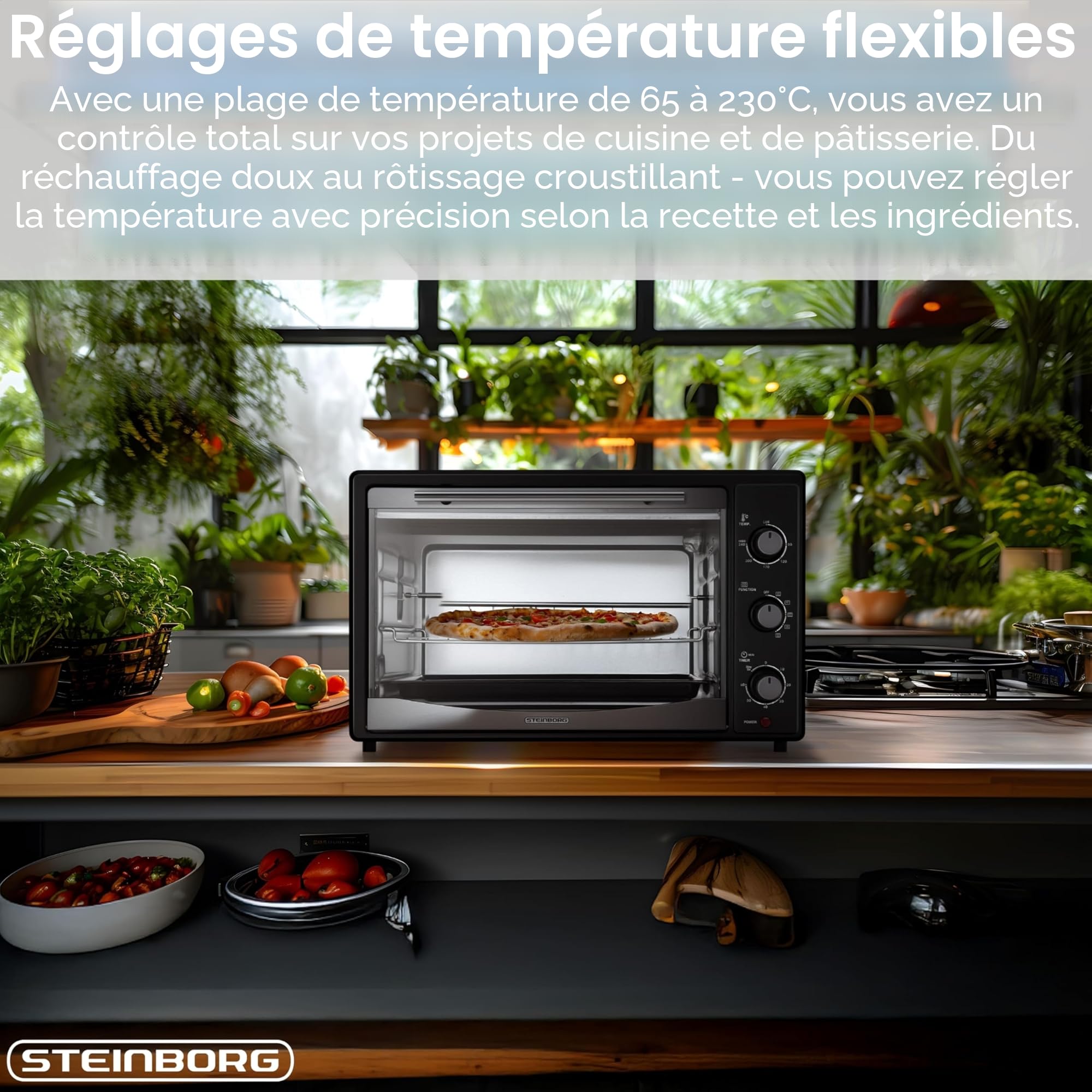 Mini four 45 l avec chaleur tournante | Tournebroche électrique | 1800 W | Four à chaleur tournante | Four à pizza | Éclairage intérieur | Avec plaque de cuisson et grille de cuisson | Mini four |
