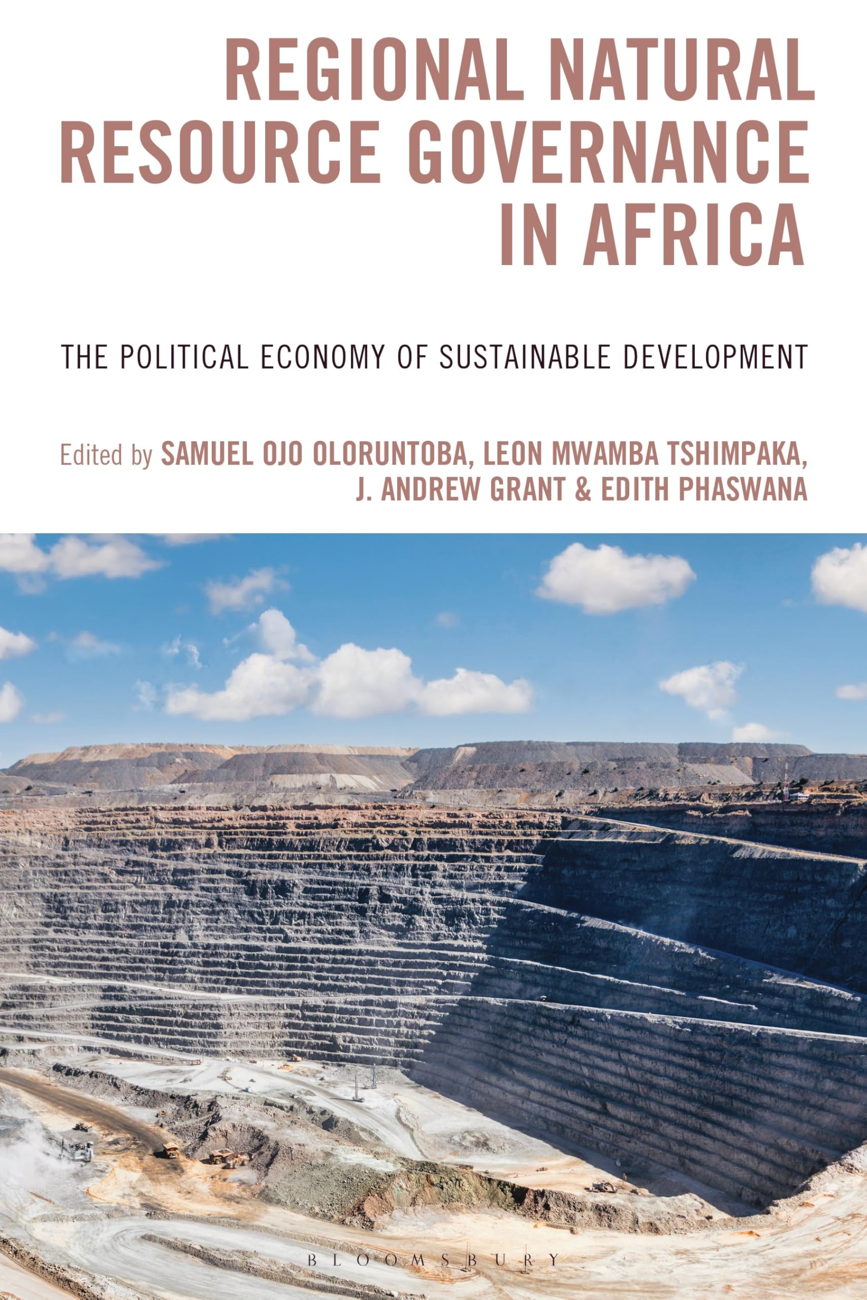 Regional Natural Resource Governance in Africa: The Political Economy of Sustainable Development