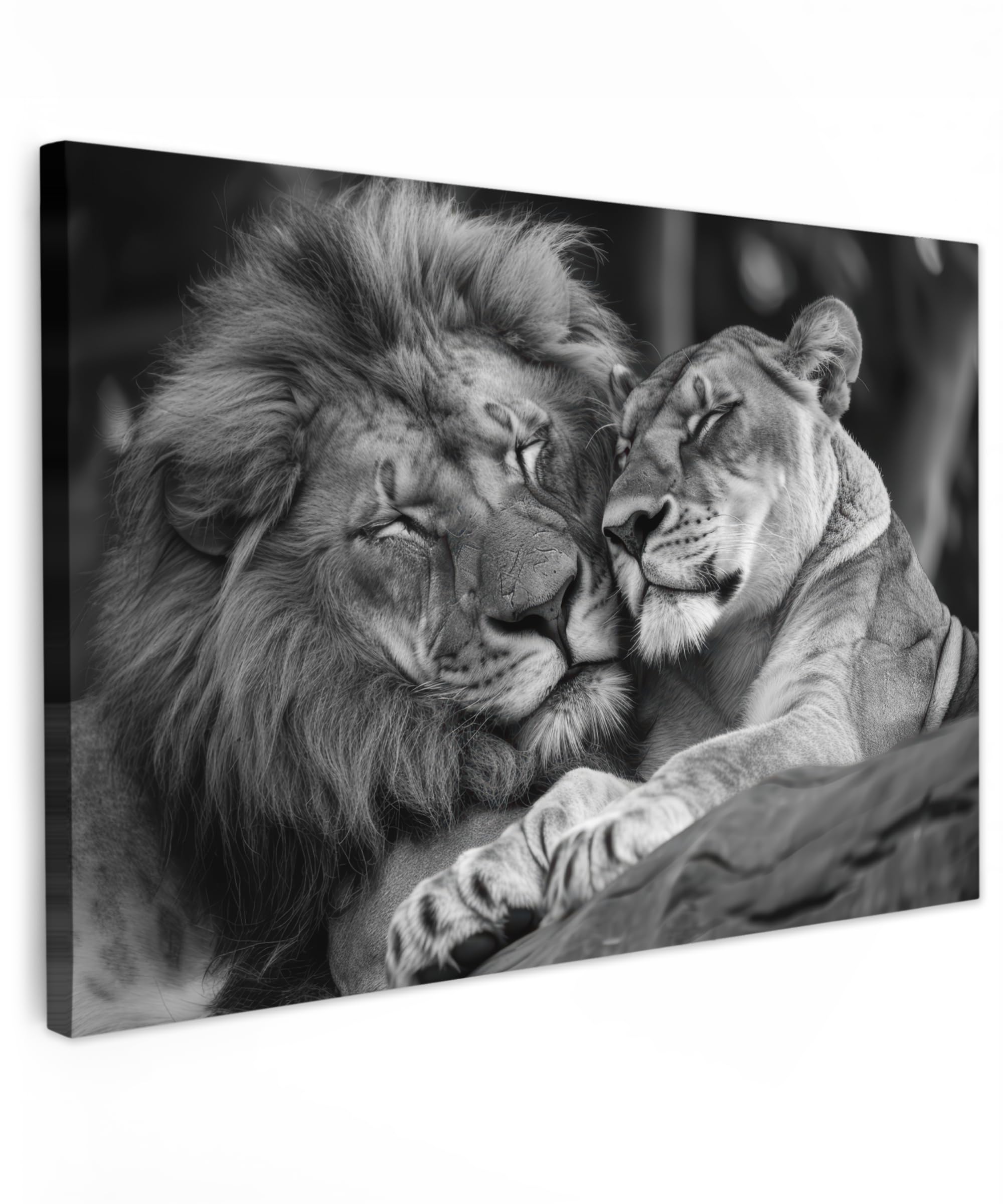 MuchoWow© Cuadros Decoracion Salon Modernos 120x80 cm para Dormitorios Cuadro Decorativos de Salon Lienzos Decorativo Pared Decoracion Lienzo Modernos Animales - León - Blanco y negro