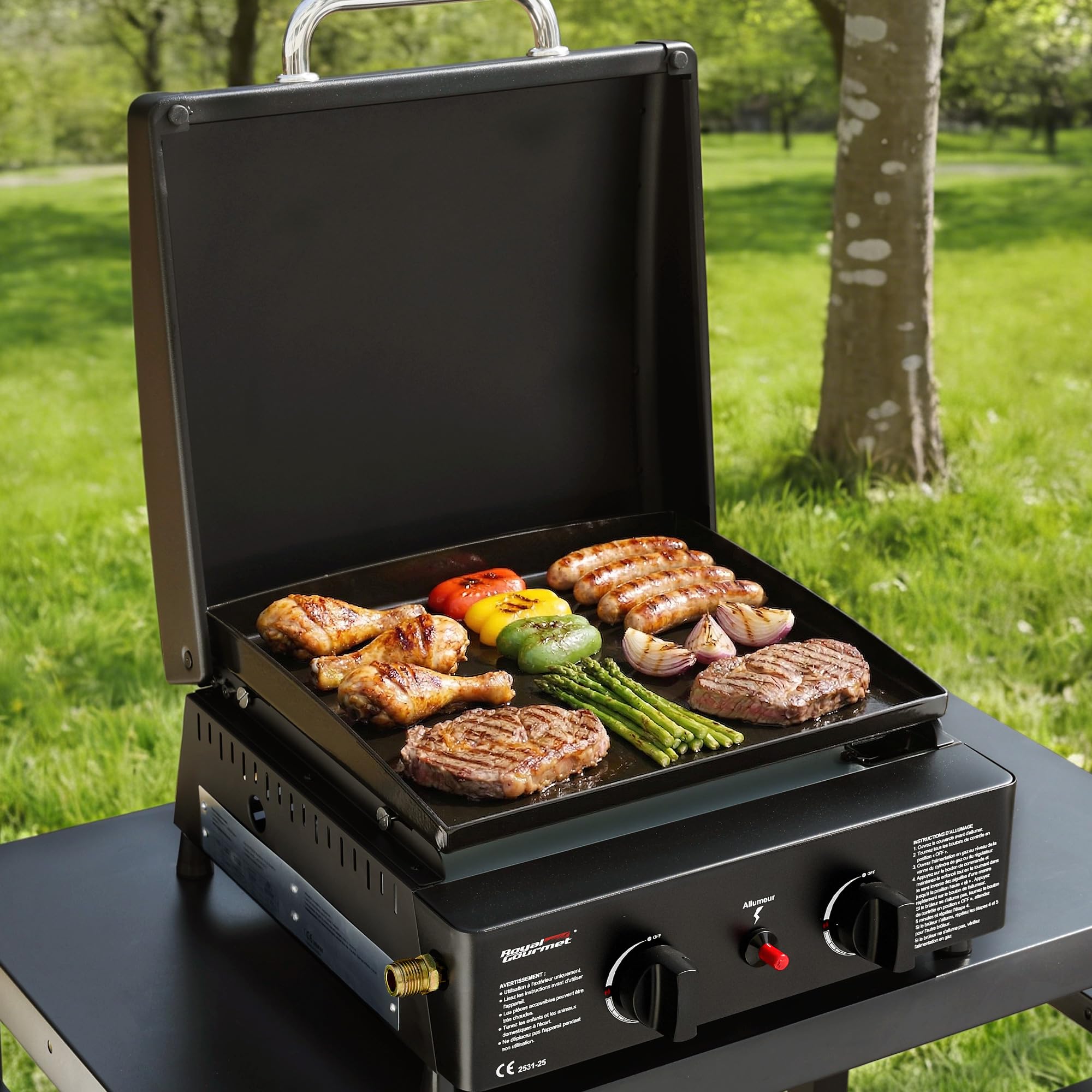 Royal Gourmet Plancha à Gaz Portable avec 2 Brûleurs de 2,5 KW, Plancha Gaz Exterieur avec Plaque de Cuisson Émaillée, Barbecue Gaz avec Pieds Réglables pour Jardin et Camping