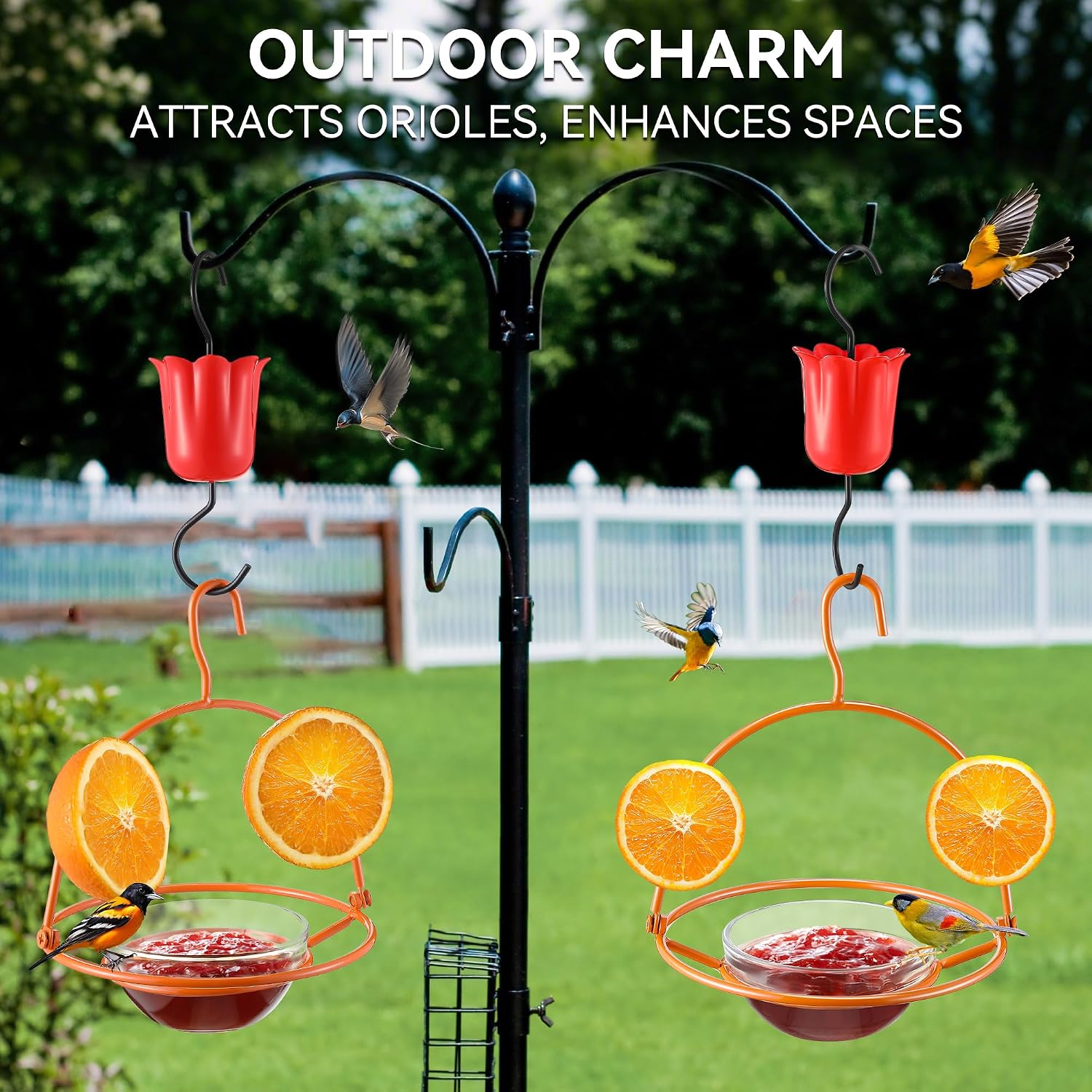 1 Pack Metal Oriole Feeders for Outdoors Hanging with Ant Moat and Fruit Holder, Oriole Feeder with Glass Bowl, Easy to Disassemble and Wash, Bird Feeder for Garden, Outdoor, Gift (Orange)