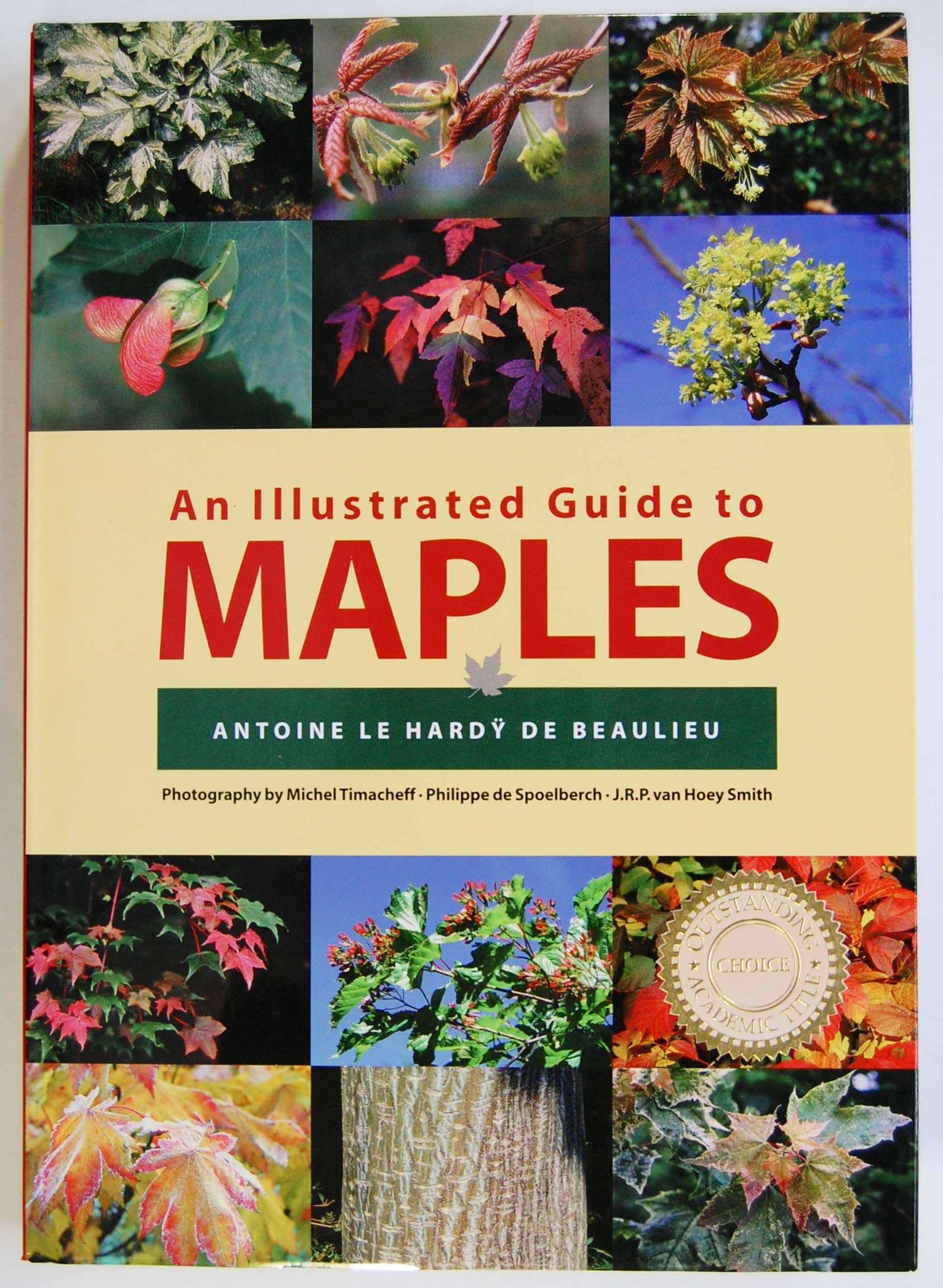 An Illustrated Guide to Maples