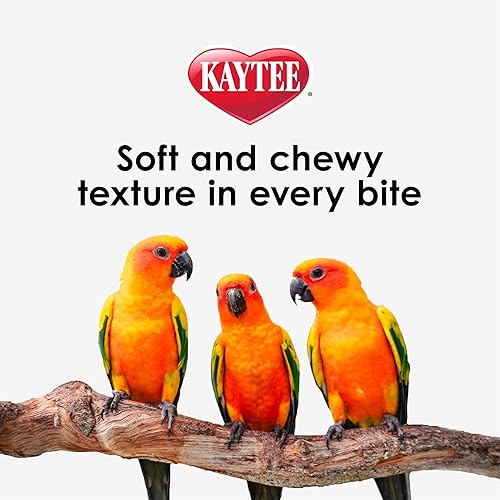 Miniatura 8 de Kaytee Nutri Soft Pet Parrot & Conure - Alimento para pájaros, 3 libras
