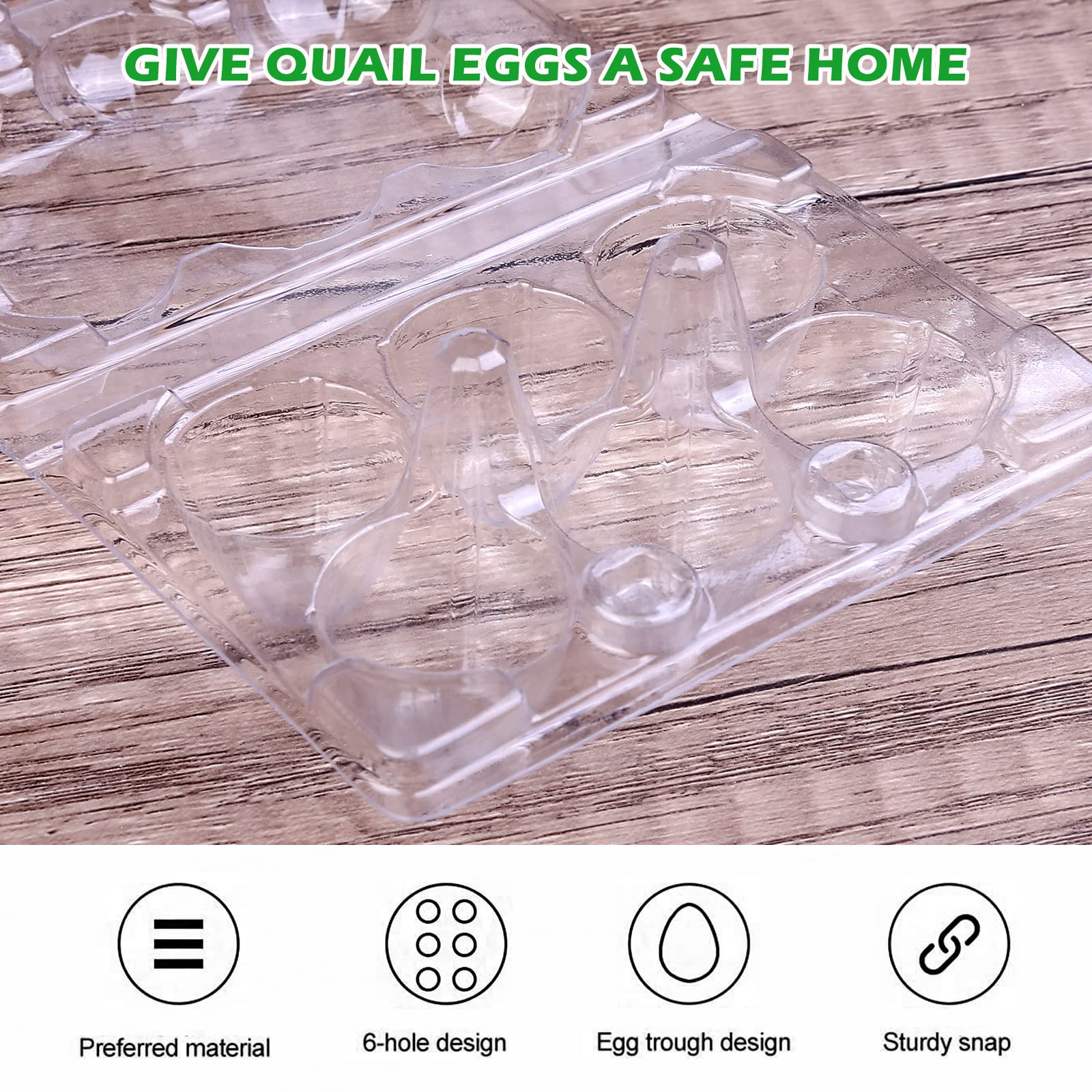 Vegena Wachteleier-Schachteln – 50 Stück, 6er-Gitter, Transparent – Für Kühlschrank, Reisen & Picknick (PET)