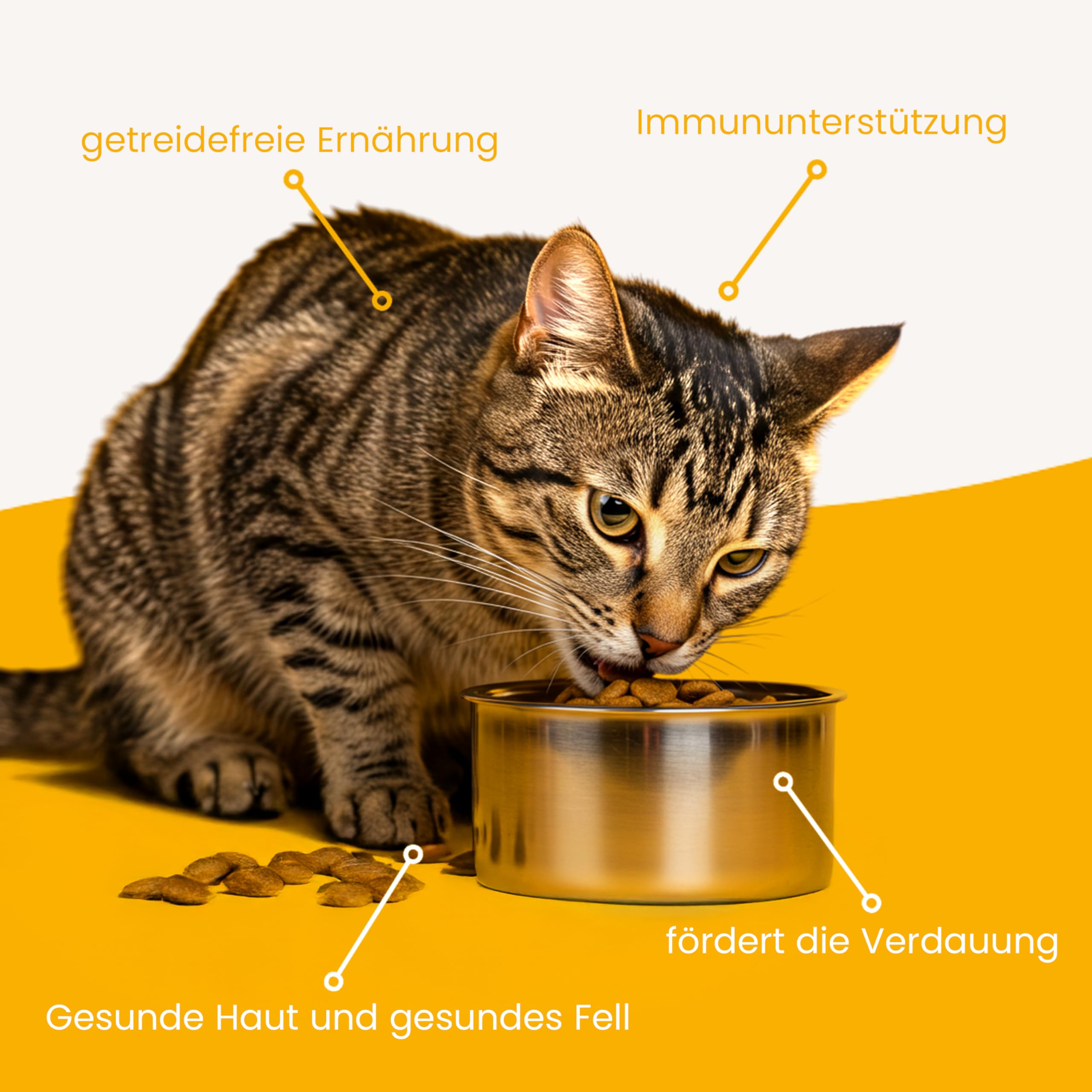 SALiNGO Premium Katzenfutter trocken 10kg Geflügel Pur 90% Fleischanteil, 10% Gemüse - Getreidefrei, Zuckerfrei & Ohne künstliche Zusätze - Katzen trockenfutter 10kg, Katzenfutter trocken