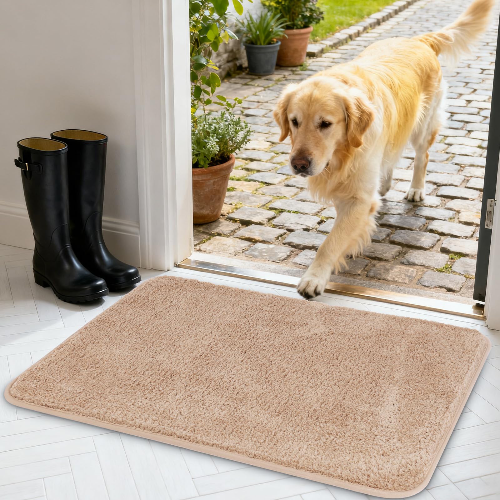 AUAUY Door Mats Indoor, Super Absorbent and Non-Slip Indoor Door Mat, Dirt Trapper Doormat, Machine Washable Doormats Rug for Entrance, Inside, Kitchen, 50 x 80 cm(Beige)