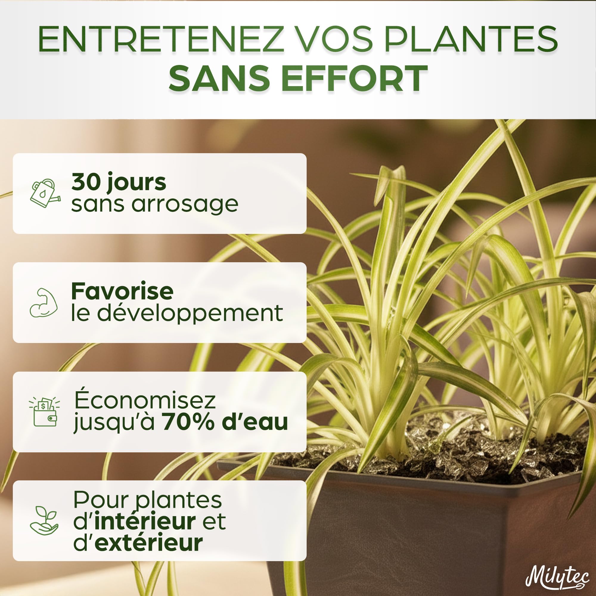 Granulés Gel Rétenteur d’Eau pour Plantes | Arrosage Automatique Pendant Les Vacances | Intérieur et extérieur | E-Book Offert | Sachet de 500 g | Convient pour 600 litres de terreau
