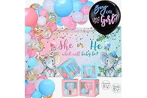 Elephant Baby Gender Reveal Decorations