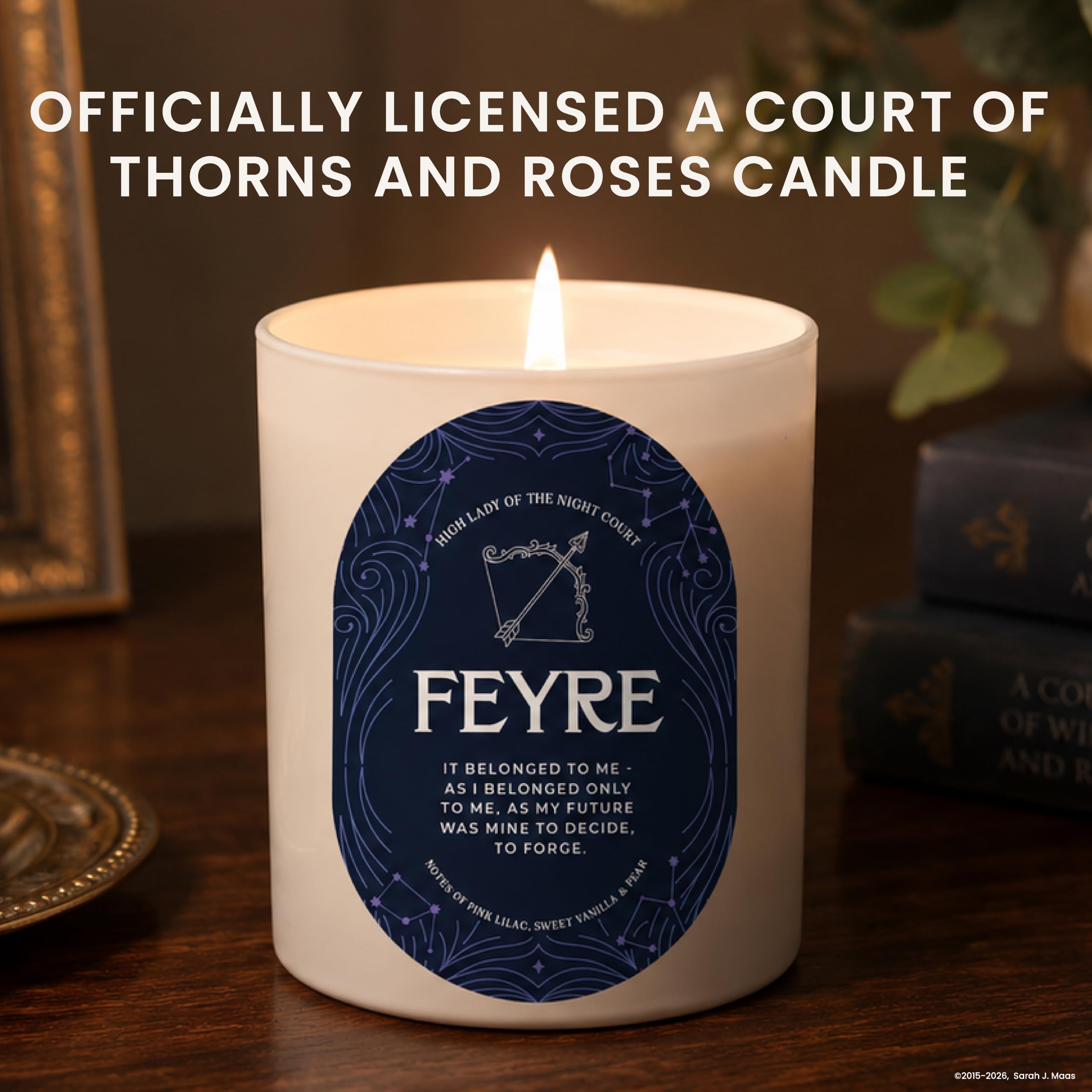 CE Craft Vela perfumada con temática de libro, regalo para ella, vela de libro de biblioteca, regalo para amantes de los libros, vela de lectura, libro amante de la librería, aromas para bibliófilos