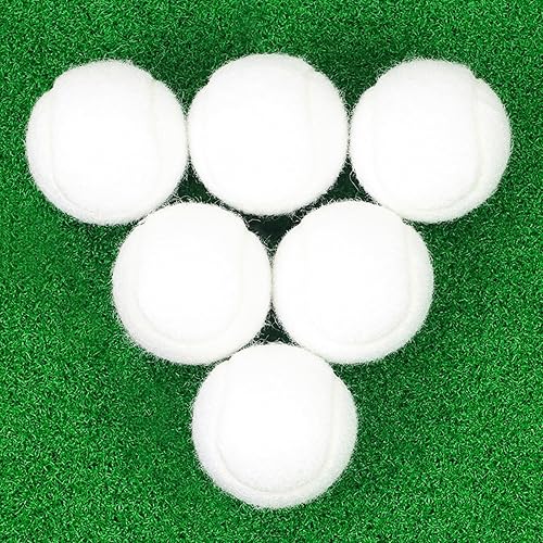 Pelotas de tenis, paquete de 6 pelotas de tenis de práctica de alta elasticidad con bolsa de malla, ideal para principiantes, pelotas de ejercicio