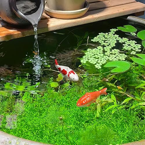 Miniatura 4 de TOYANDONA Pez Koi flotante de cerámica, 2 piezas de peces flotantes artificiales, decoración de peces dorados falsos para decoración de fuentes de