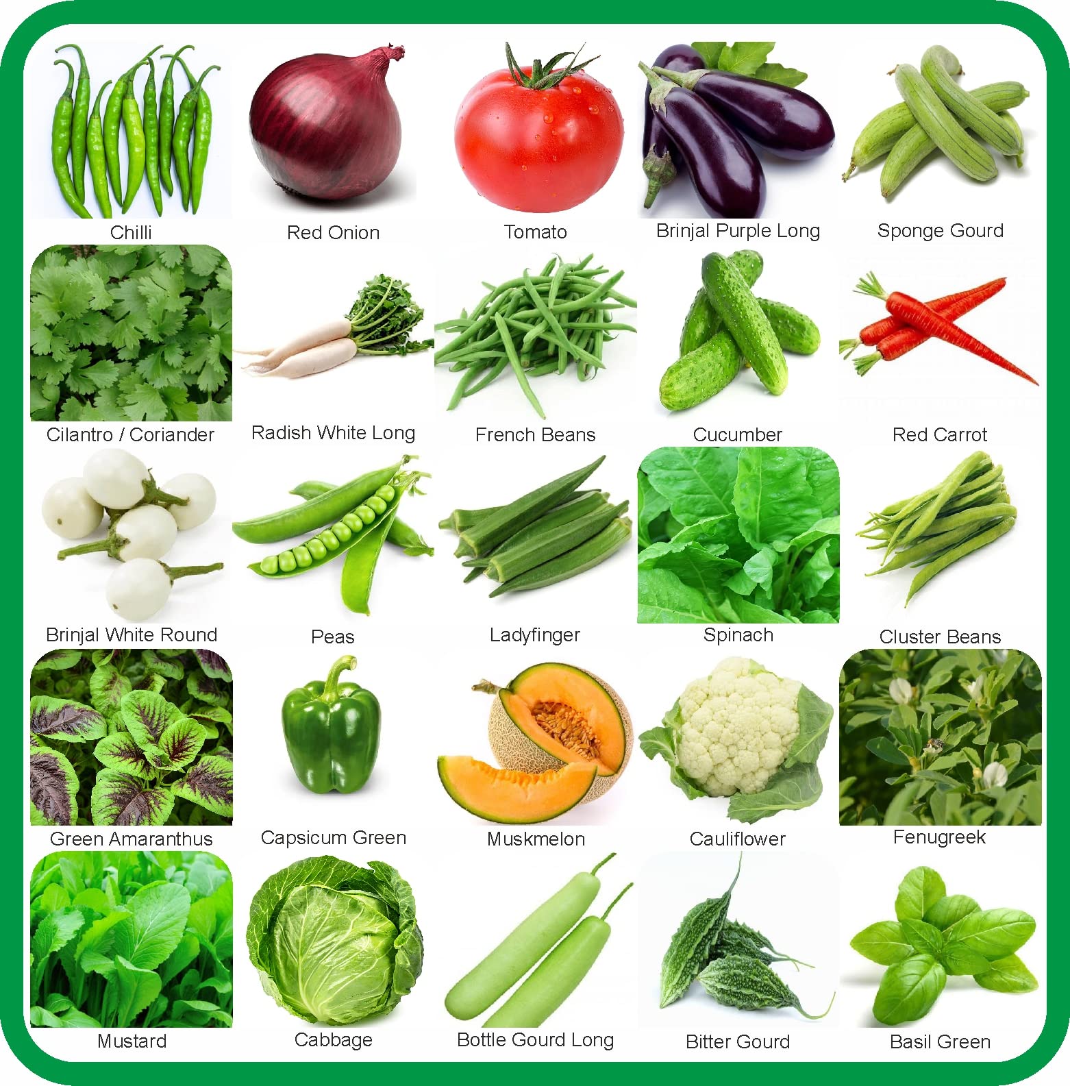 Agnico 25 Variety Of Vegetable Seeds Combo Pack With Instruction Manual. (B0BHDWZKYW) Amazon Price History, Amazon Price Tracker