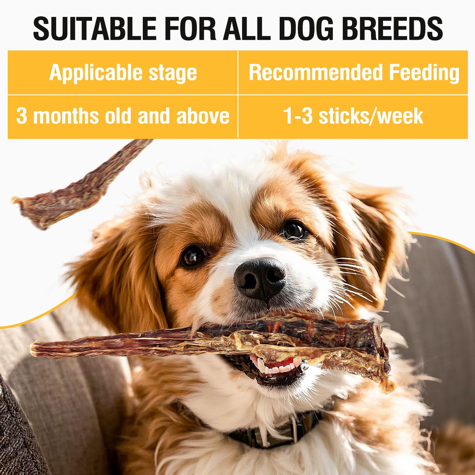 2 PCS Natural Ox Tail Bone for Dogs, Long Lasting Dental Treat - Image 4