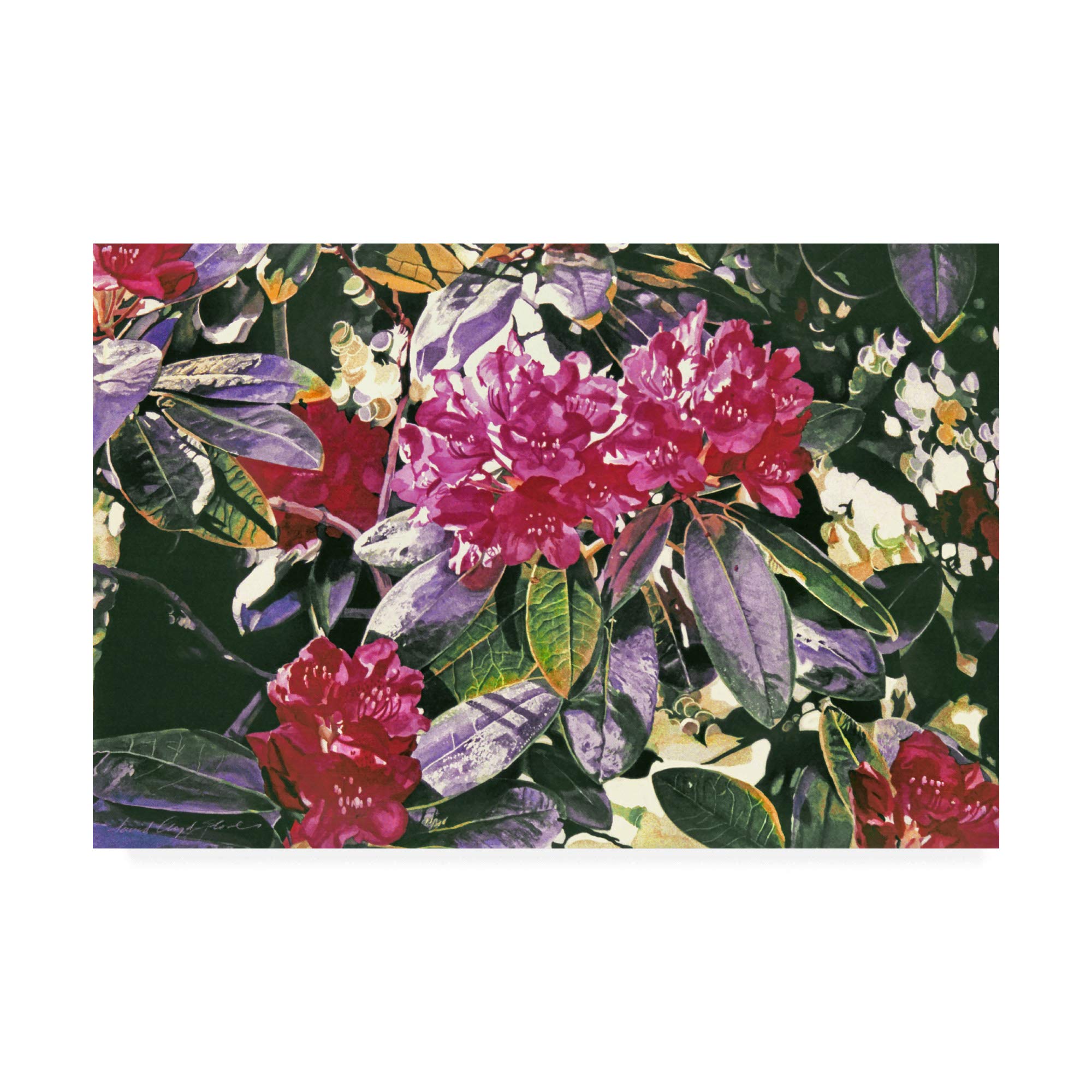 Trademark Fine Art April Dreams by David Lloyd Glover, 12x19