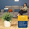 Product Photo 5