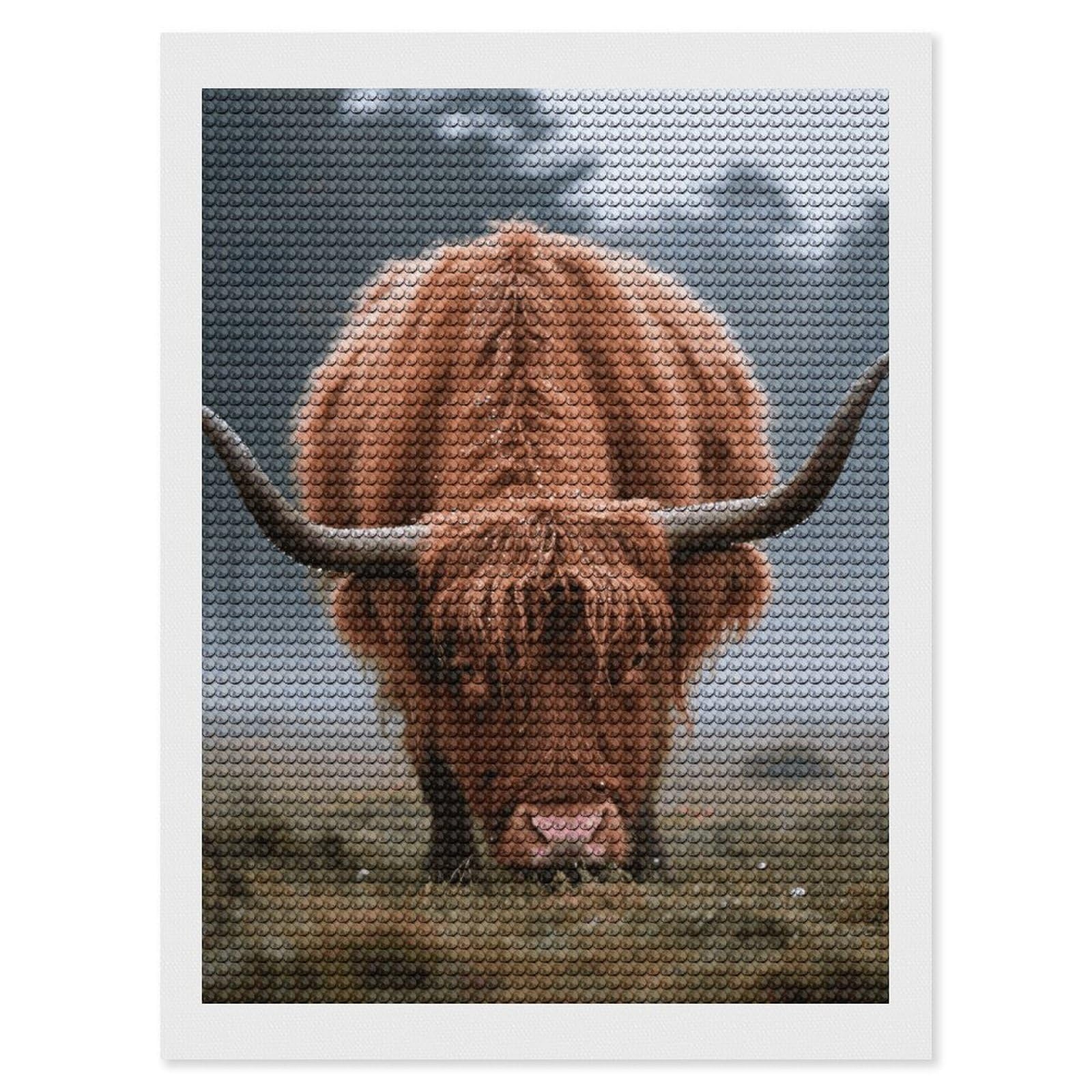 FodPand Highland Cow 5D Diamond Painting Kits for Adults Beginners Full Drill Round Diamond Dots Pictures Gem Art Supplies for Home Wall Room Decoration DIY Craft Set Gift 12x16