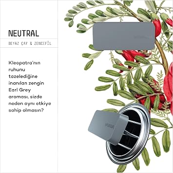 VAVANA Araba Klima Kokusu - Flat Oto Kokusu | BPA ve Sıvı İçermez | 60 Gün Etkili Araç Kokusu 2'li Set (Neutral | Hopeful)