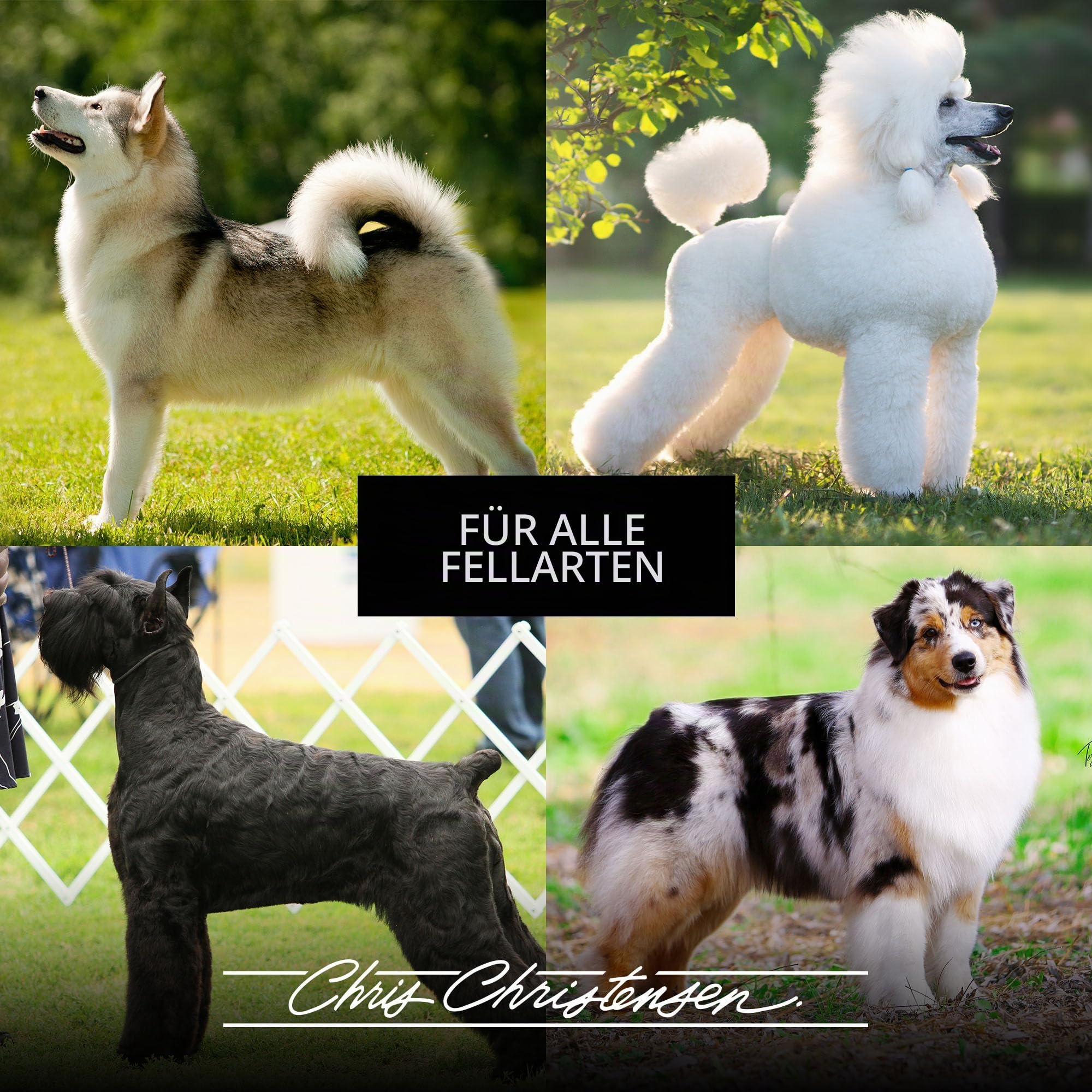 Chris Christensen Oval Pin Brush Gold Series for Pets 35mm