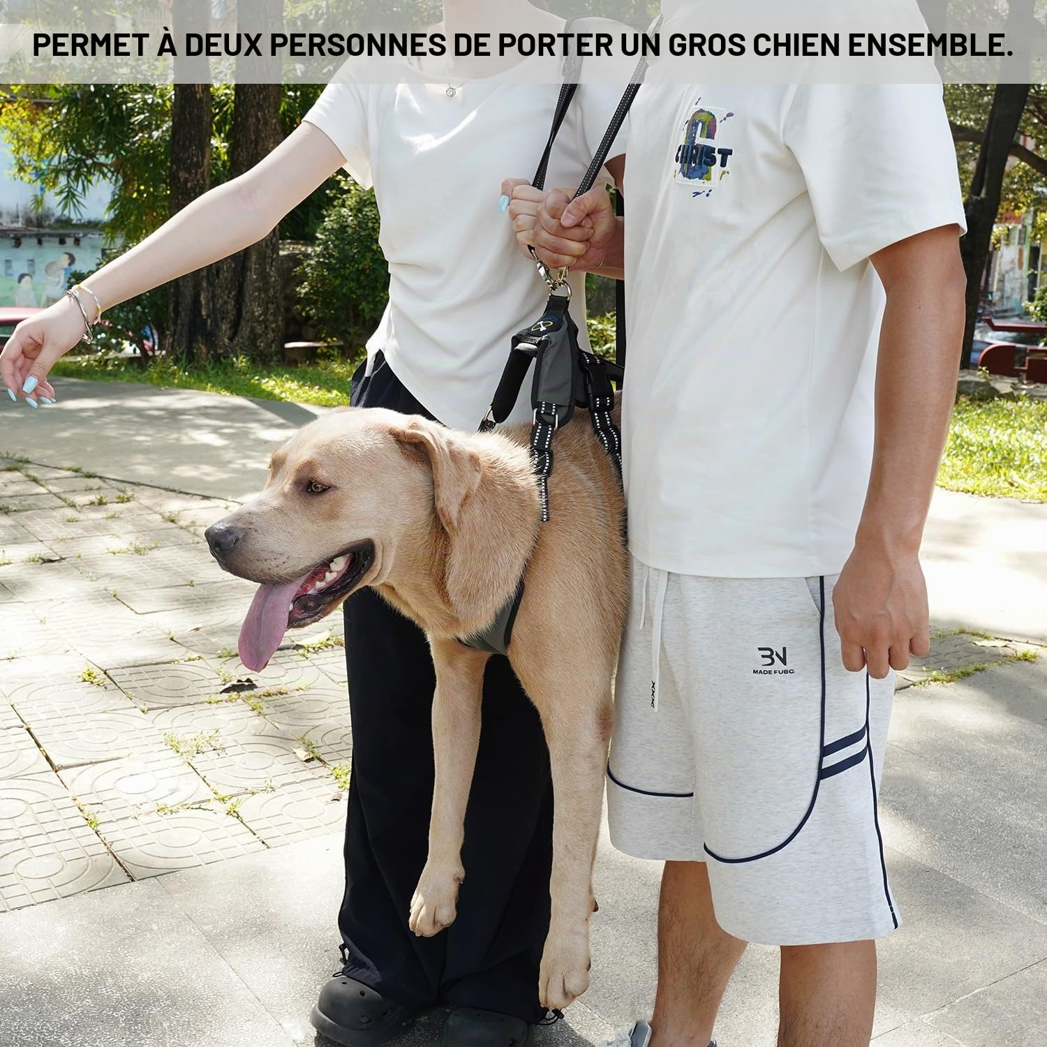 COODEO Harnais de Transport d'urgence pour Chien, Support de Jambe arrière pour Animal Domestique, Gilet de rééducation, Transport pour Chiens âgés, blessures articulaires, arthrite(Vert,L)