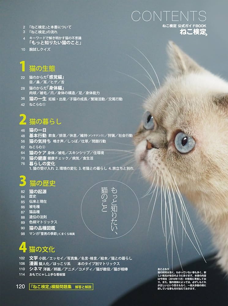 【ねこさん専用】NN前期テキスト＆模試セット 付箋ジャパニーズスタイルねこ 45枚【公式】≪1個からお届け