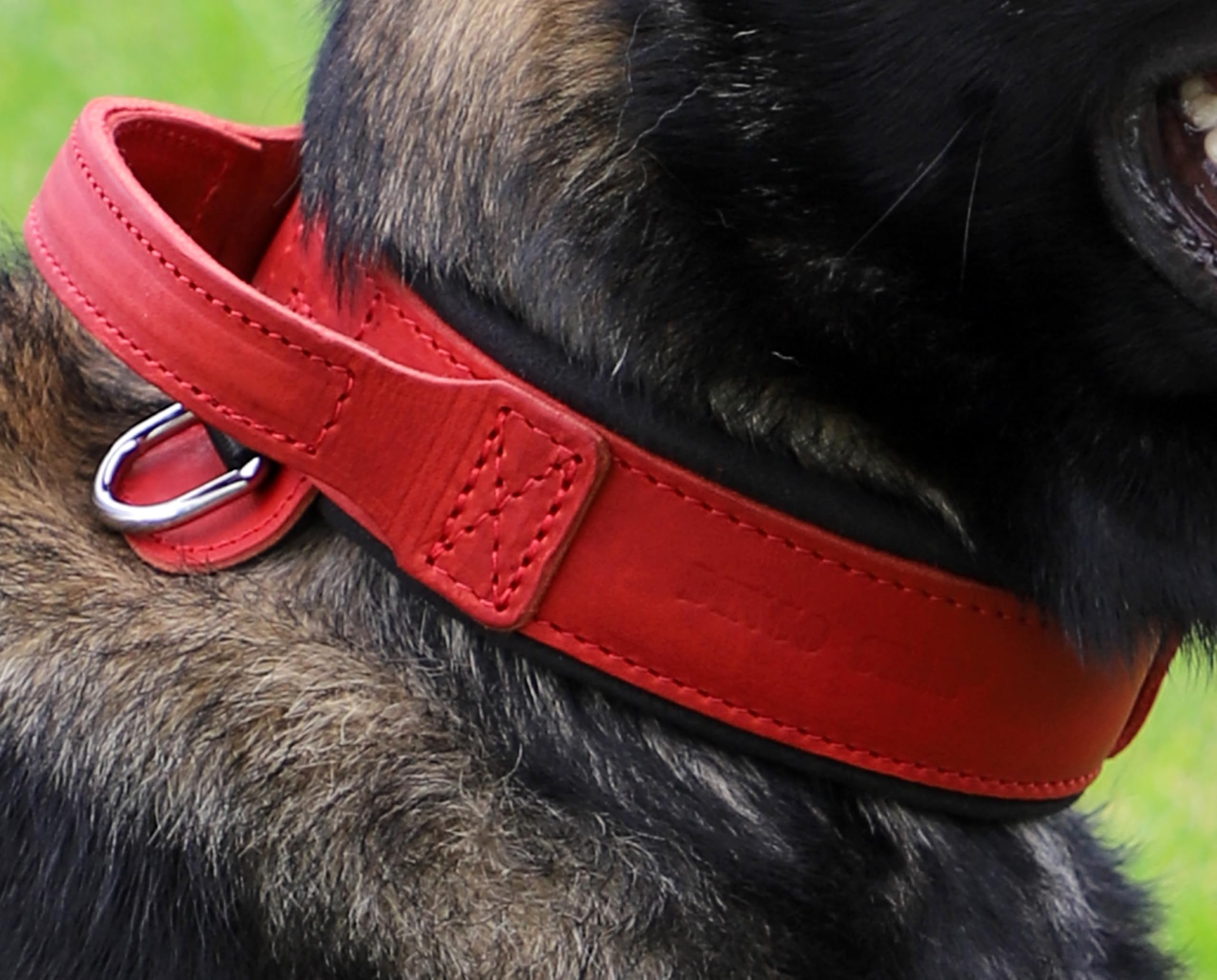 Dingo Gear Collar para Perro Drago de Cuero, Amortiguado con Asa Ancha y Fuerte, Hecho a Mano, Circunferencia del Cuello 40-48 cm, para Entrenamiento y Paseos, Marrón (S03910)