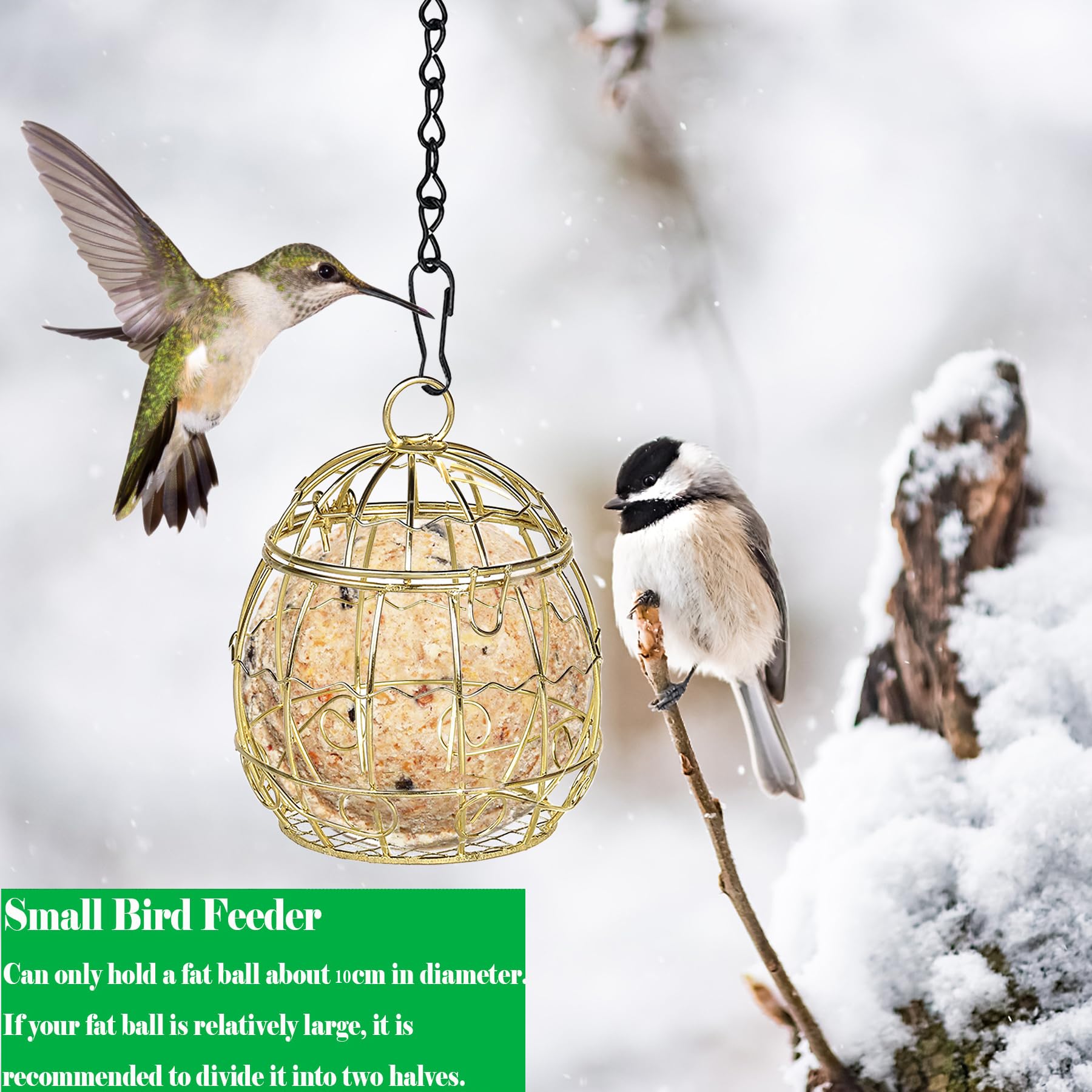 Walter Harrisons 711992 - Mangiatoia Per Uccelli Selvatici Con Coperchio Ribaltabile, Per Palline Di Grasso E Suet, Verde, Da Appendere, Da Giardino, Piccola, 22 Cm - Foto 5