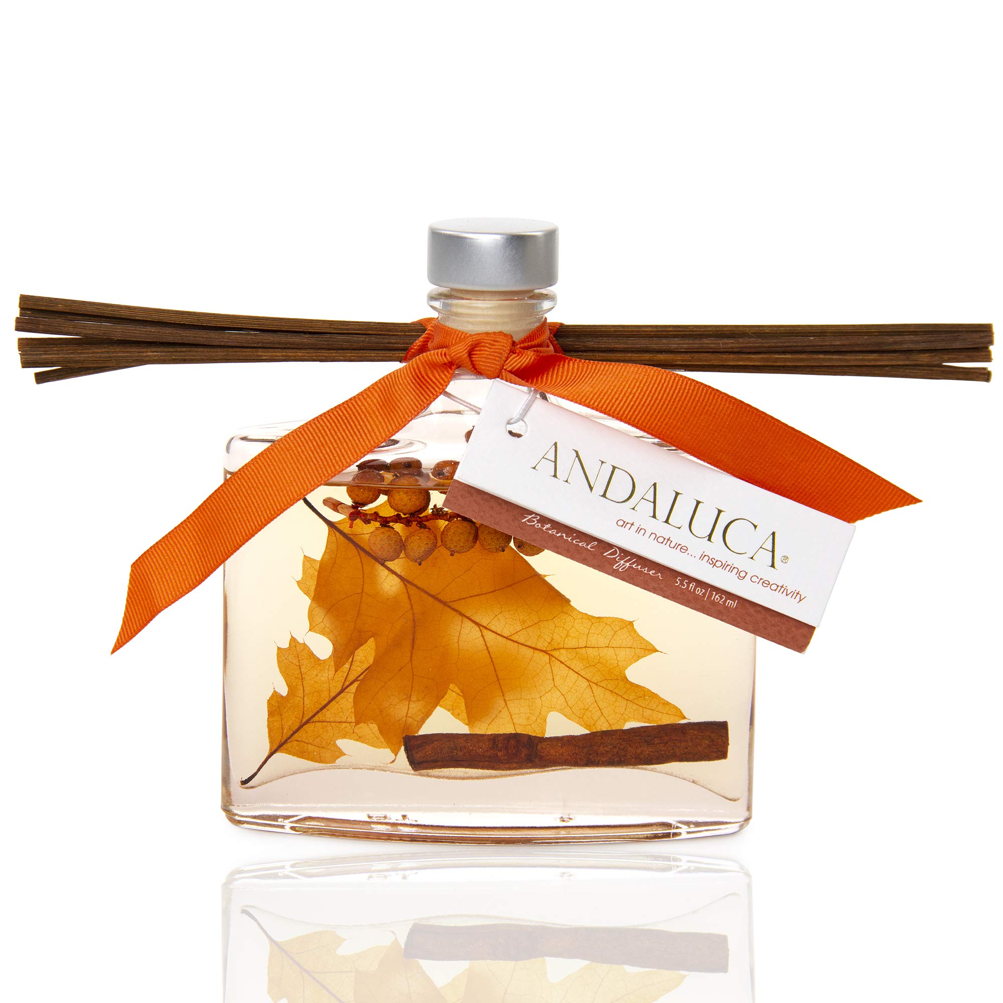 Blissful Harvest Botanical Reed Diffuser | 5.5 fl oz | Scents of Clove, Ginger and Nutmeg