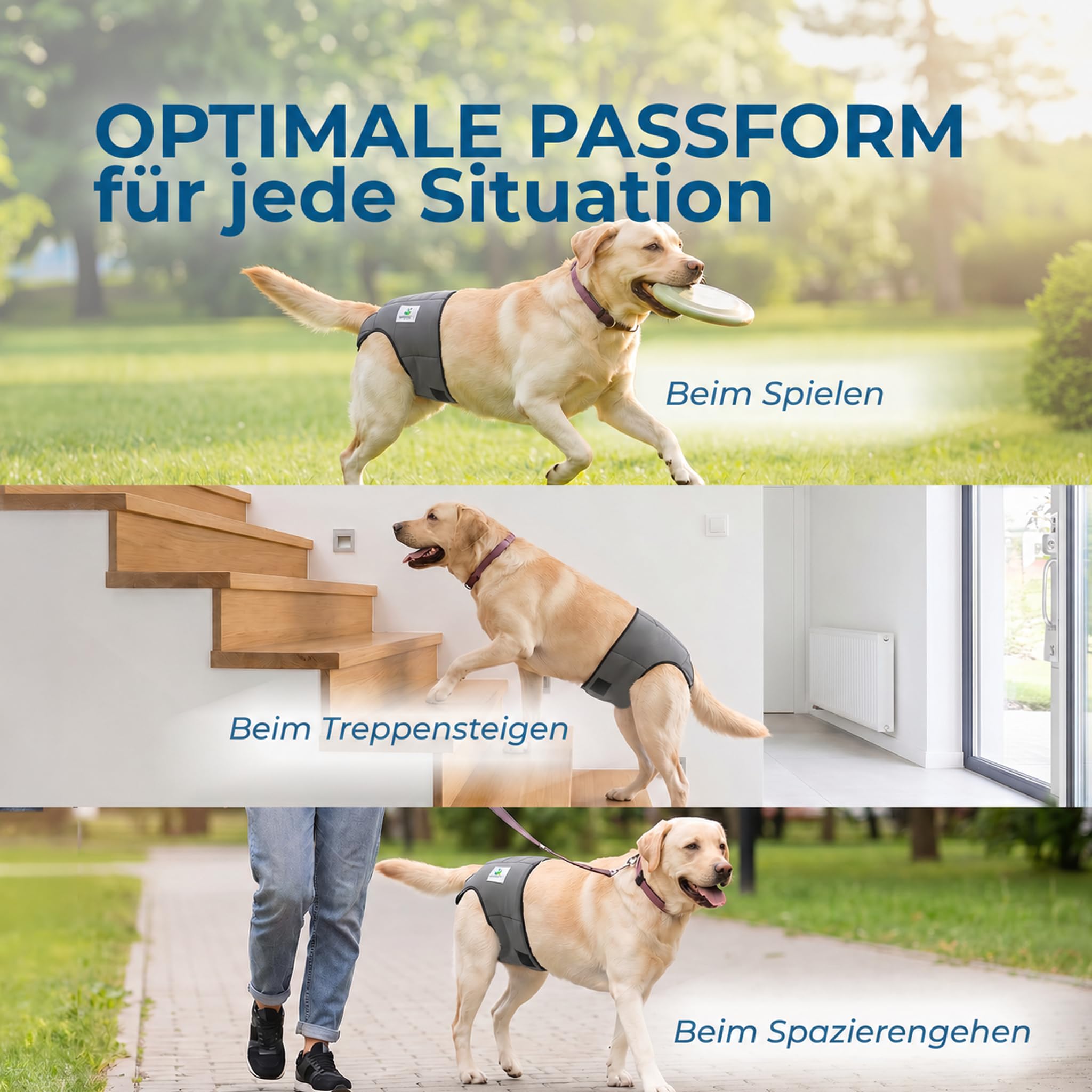 NATURE PET Premium Läufigkeitshose für Hündinnen – Hochwertige & Bequeme Hundewindeln für Hündinnen & Rüden – Waschbare Inkontinenz-Hundewindel ohne Einfädeln der Rute – M-L/Netz