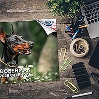 Vista 1530 de Razas de Perros 2017