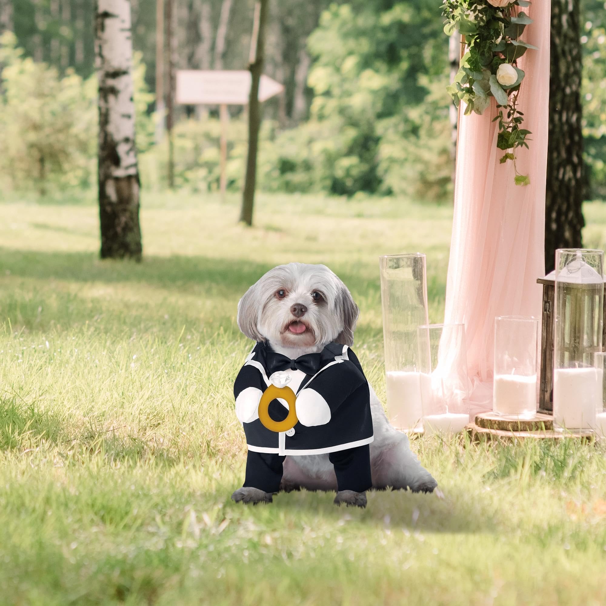 California costume Collections pup-a-razzi Puppy love-groom Dog costume, nero/bianco, piccolo
