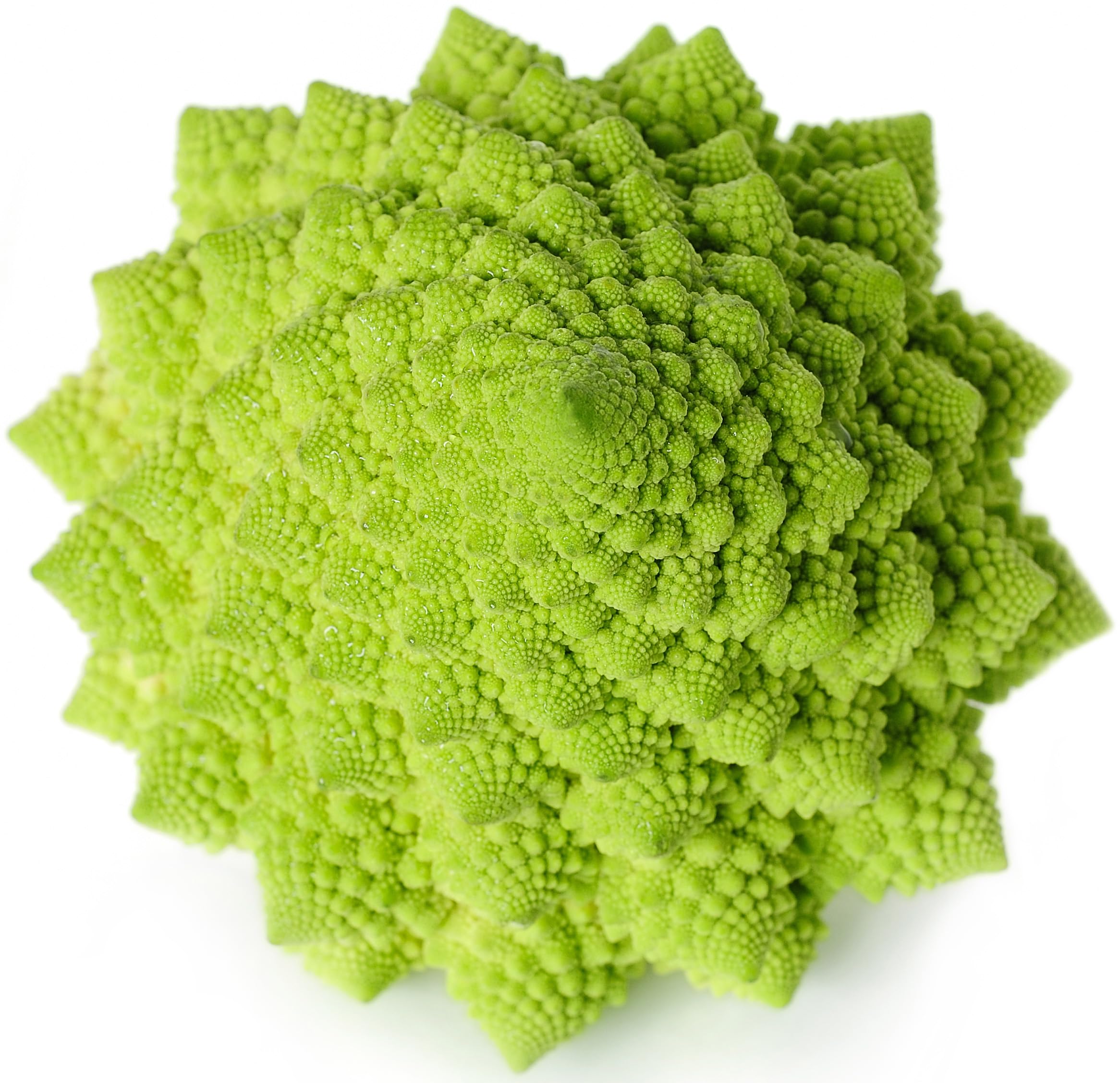 Amazon.com: 100 Romanesco Italia Heirloom 西蘭花種子- 西蘭花、羅馬