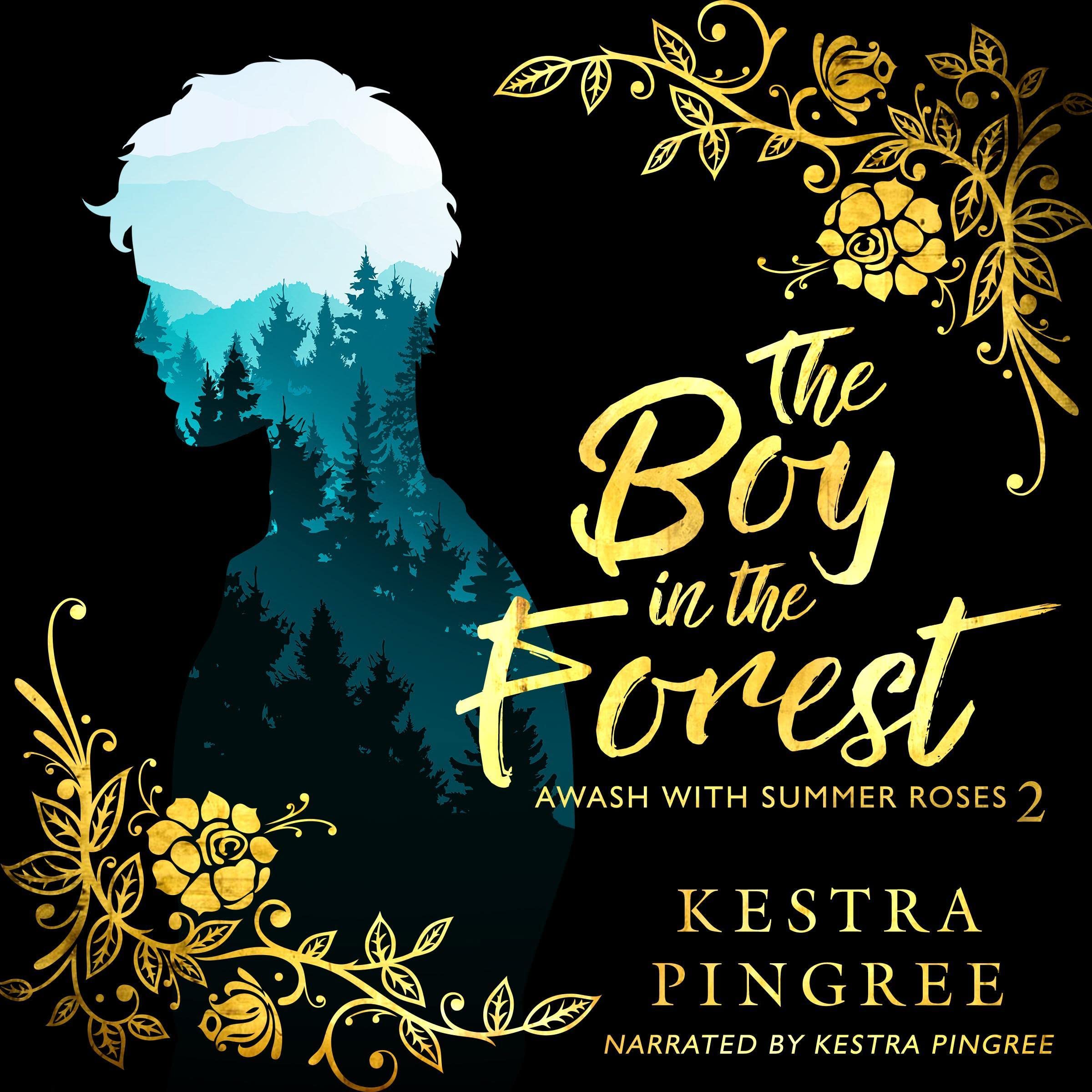 Cover art for The Boy in the Forest