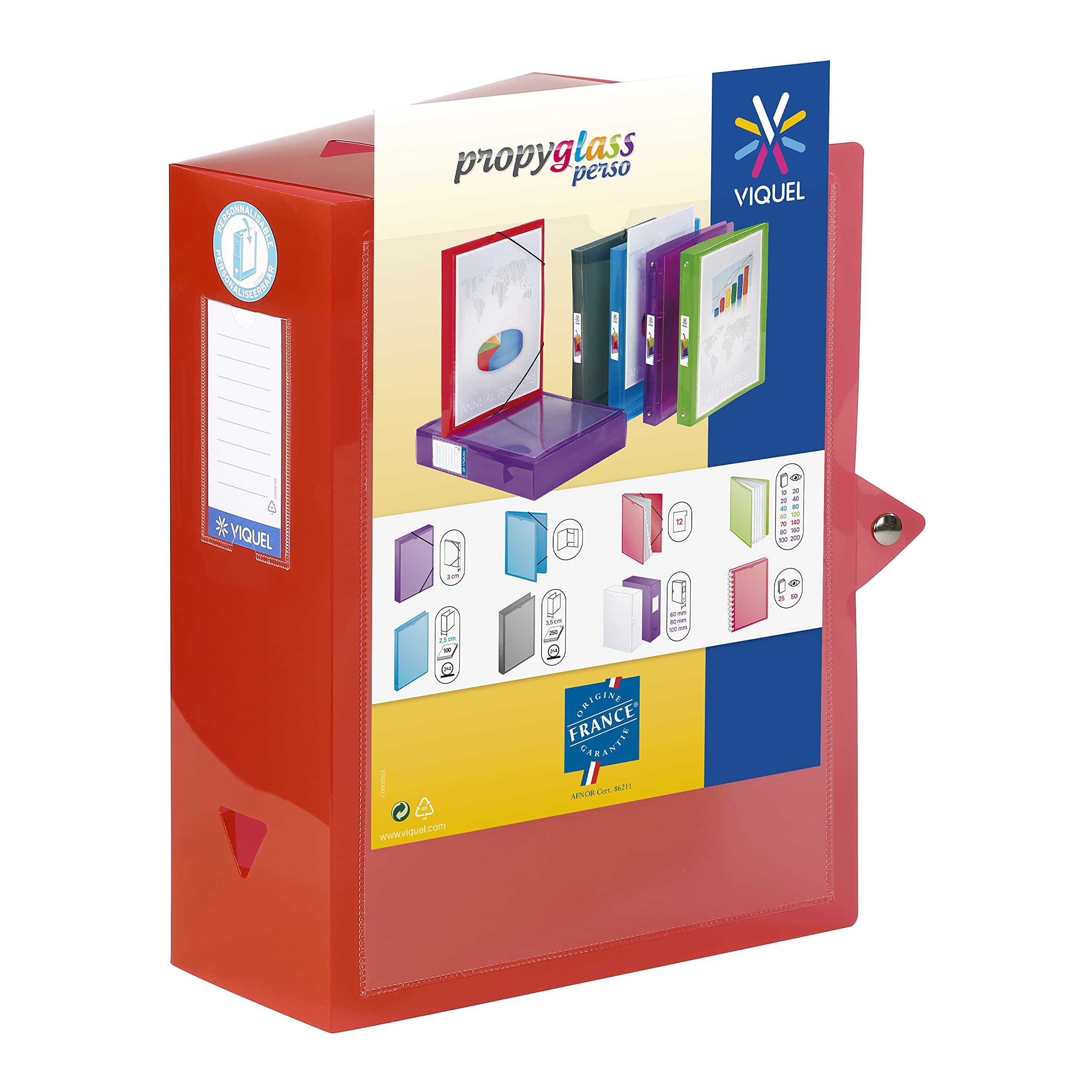 Viquel Class Docs Propyglass – Juego de 4 cajas de índice personalizable (polipropileno) ancho de 100 mm), multicolor