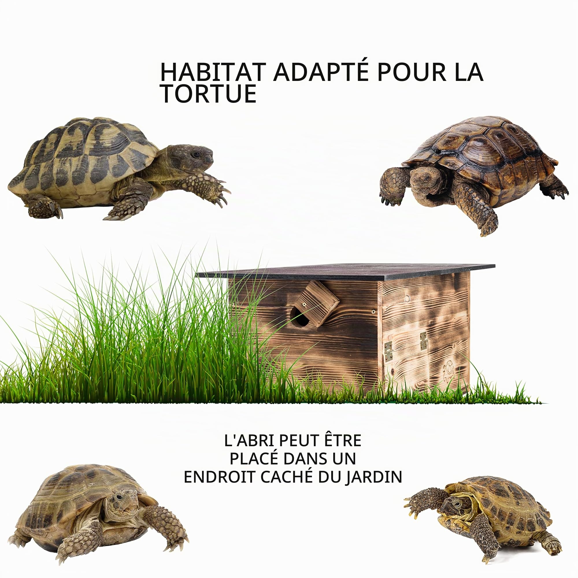 Abri pour Tortues de qualité supérieure (SH1) - en Bois Massif - Résistant aux intempéries - avec Fond et Porte - Ventilation réglable - Enclos pour